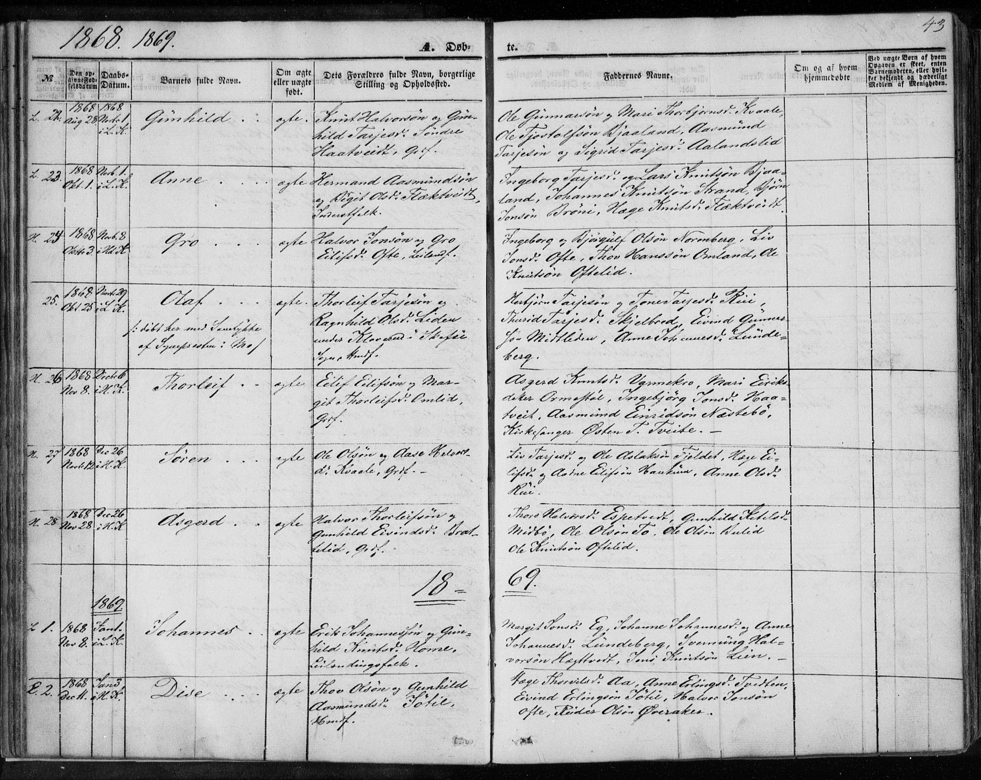 Lårdal kirkebøker, SAKO/A-284/F/Fa/L0006: Parish register (official) no. I 6, 1861-1886, p. 43