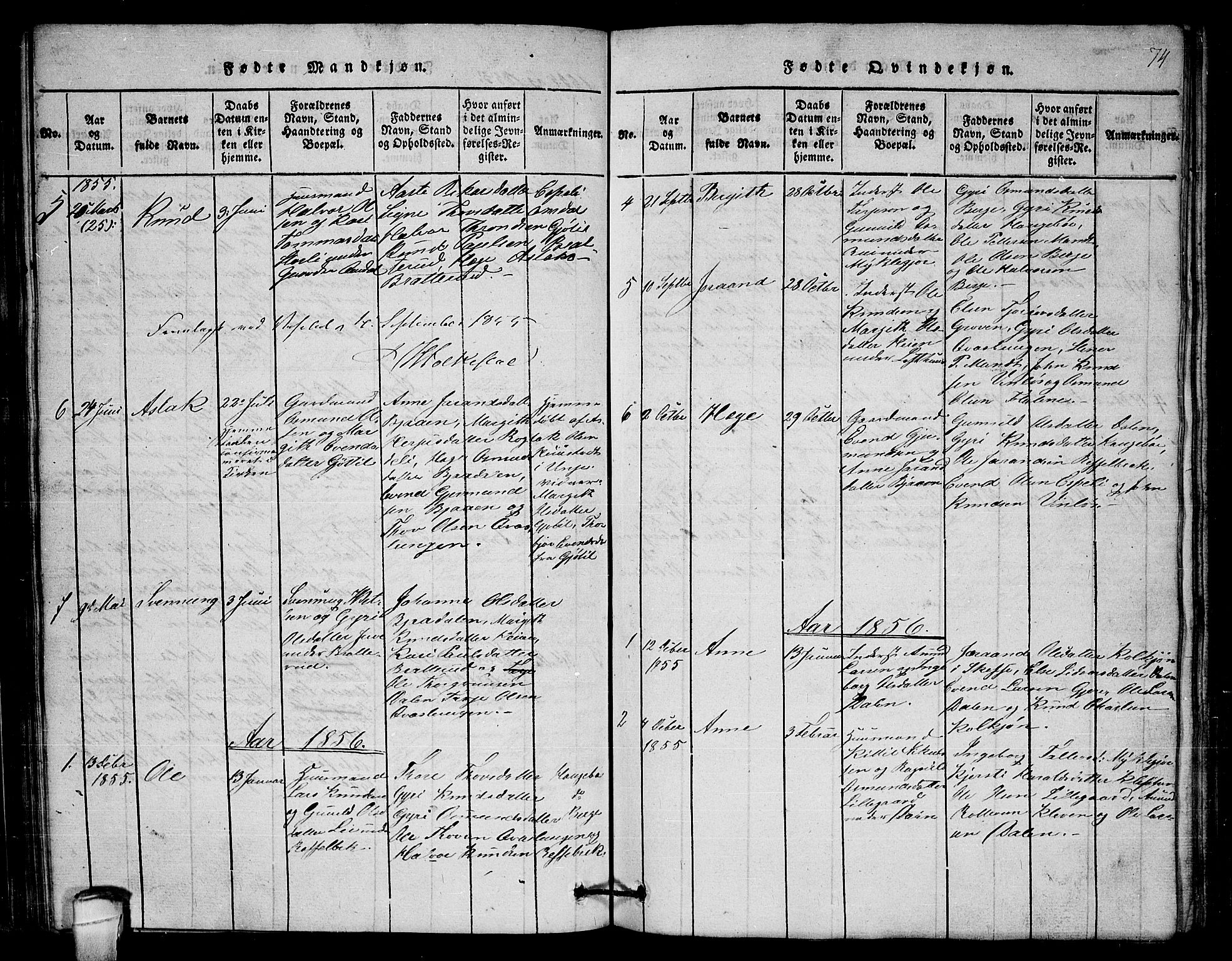 Lårdal kirkebøker, SAKO/A-284/G/Gb/L0001: Parish register (copy) no. II 1, 1815-1865, p. 74