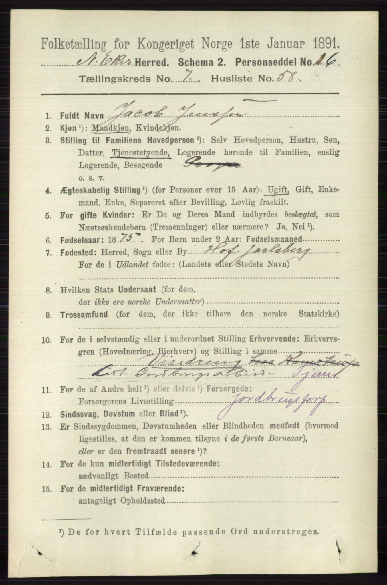 RA, 1891 census for 0625 Nedre Eiker, 1891, p. 3831