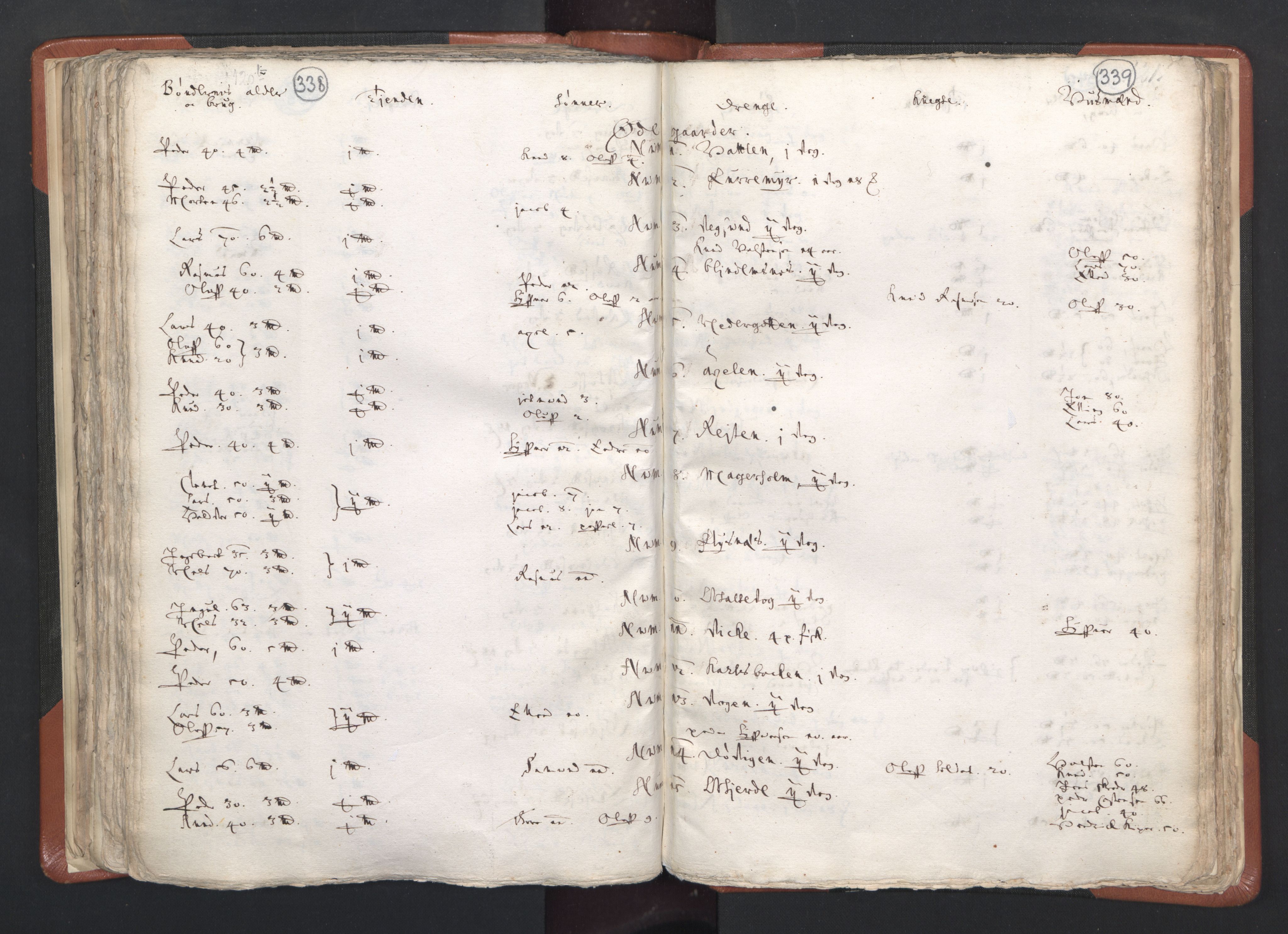 RA, Vicar's Census 1664-1666, no. 26: Sunnmøre deanery, 1664-1666, p. 338-339