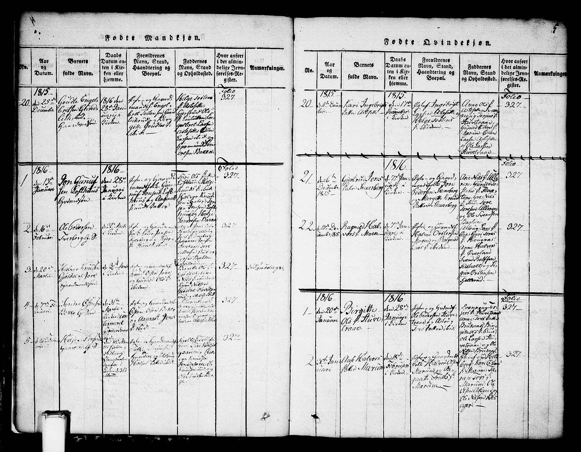Tinn kirkebøker, SAKO/A-308/G/Ga/L0001: Parish register (copy) no. I 1, 1815-1850, p. 5