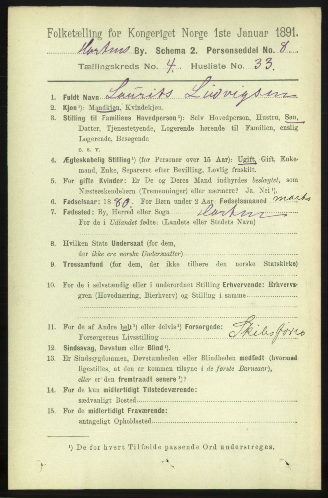 RA, 1891 census for 0703 Horten, 1891, p. 3478