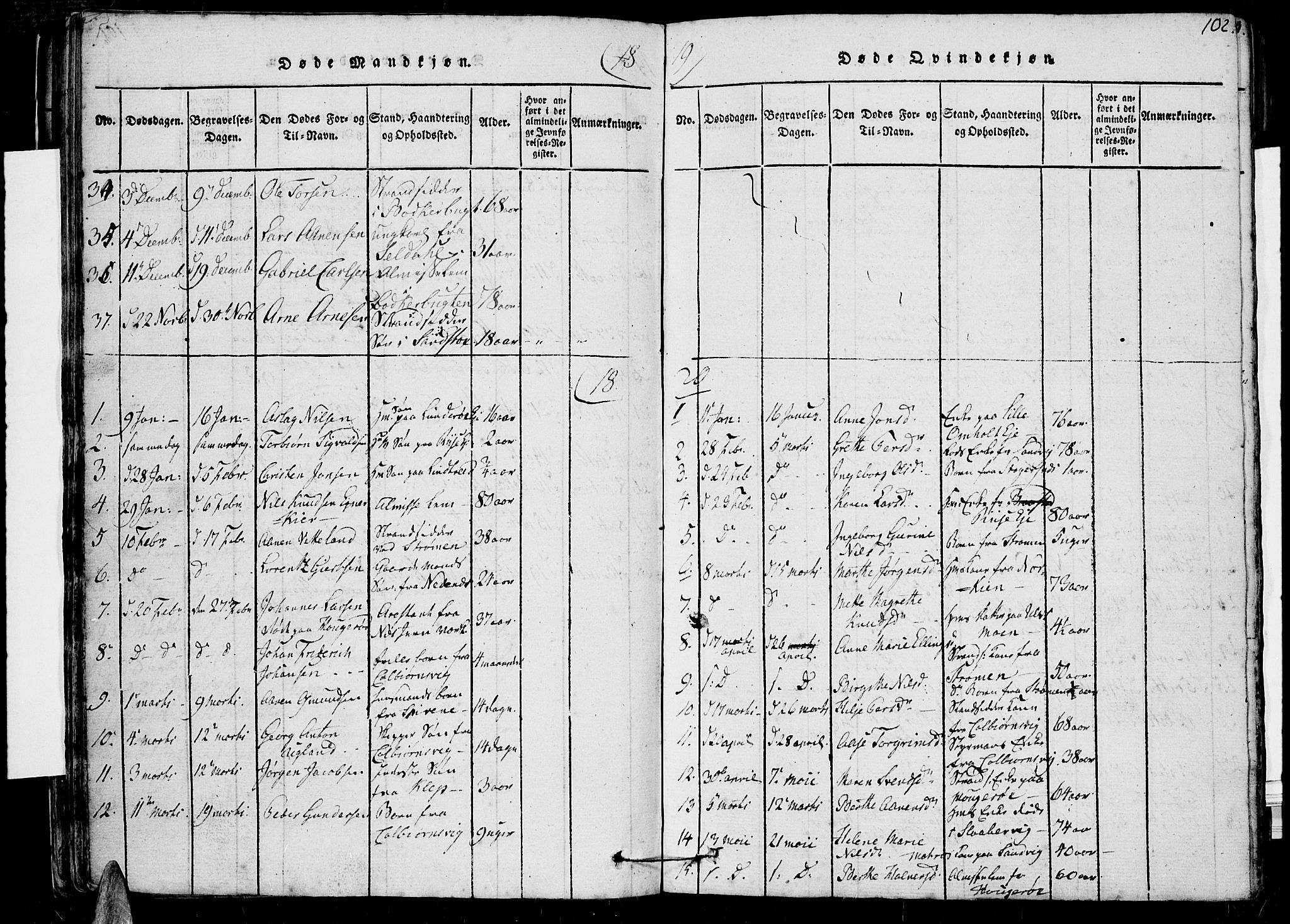 Øyestad sokneprestkontor, AV/SAK-1111-0049/F/Fb/L0003: Parish register (copy) no. B 3, 1816-1827, p. 102