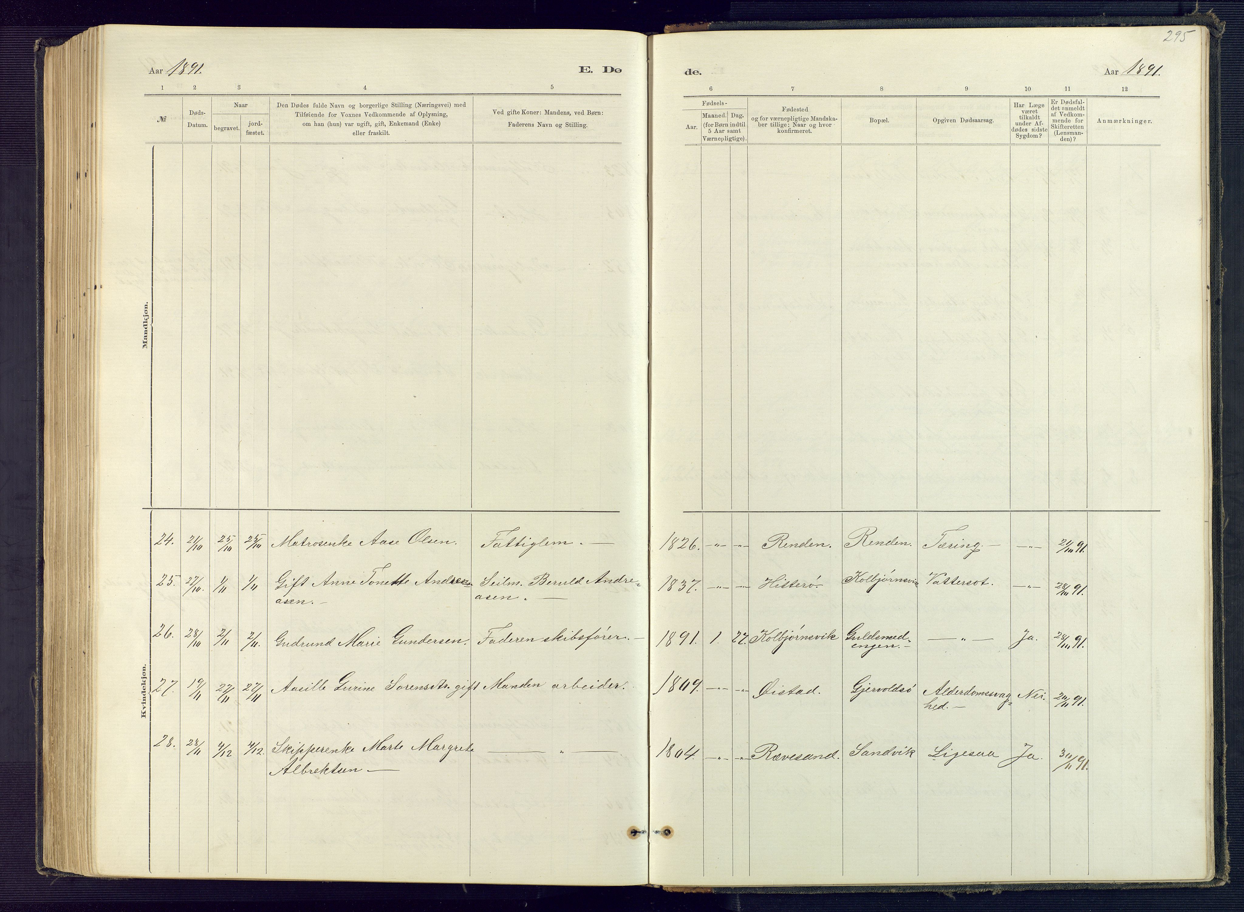 Hisøy sokneprestkontor, AV/SAK-1111-0020/F/Fb/L0003: Parish register (copy) no. B 3, 1885-1905, p. 295