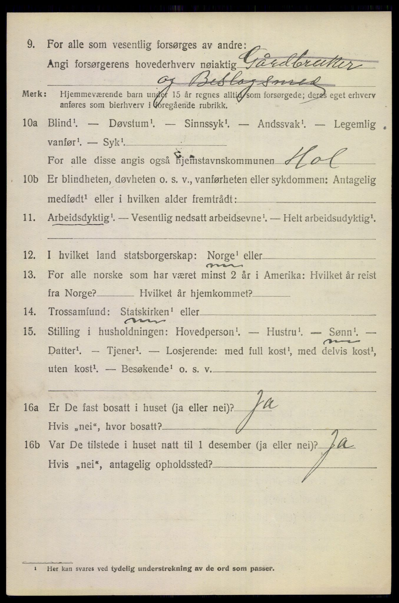 SAKO, 1920 census for Hol (Buskerud), 1920, p. 3796