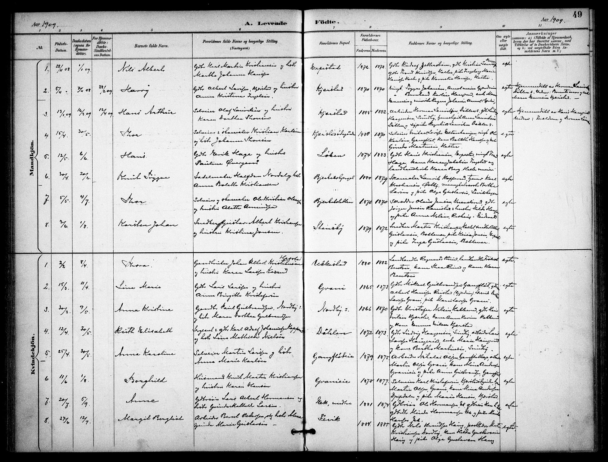 Nannestad prestekontor Kirkebøker, AV/SAO-A-10414a/F/Fb/L0002: Parish register (official) no. II 2, 1891-1909, p. 49