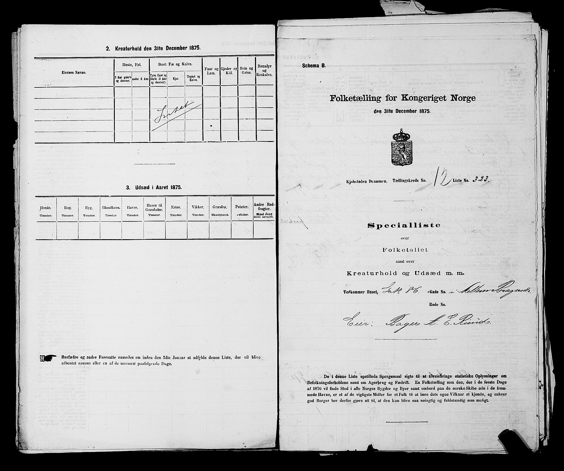 SAKO, 1875 census for 0602 Drammen, 1875, p. 1309