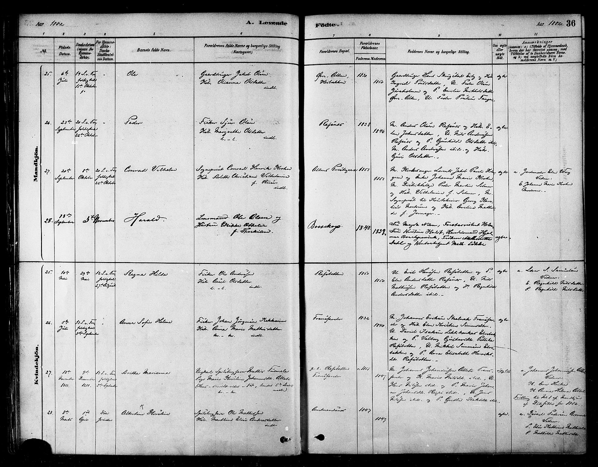 Alta sokneprestkontor, SATØ/S-1338/H/Ha/L0002.kirke: Parish register (official) no. 2, 1879-1892, p. 36