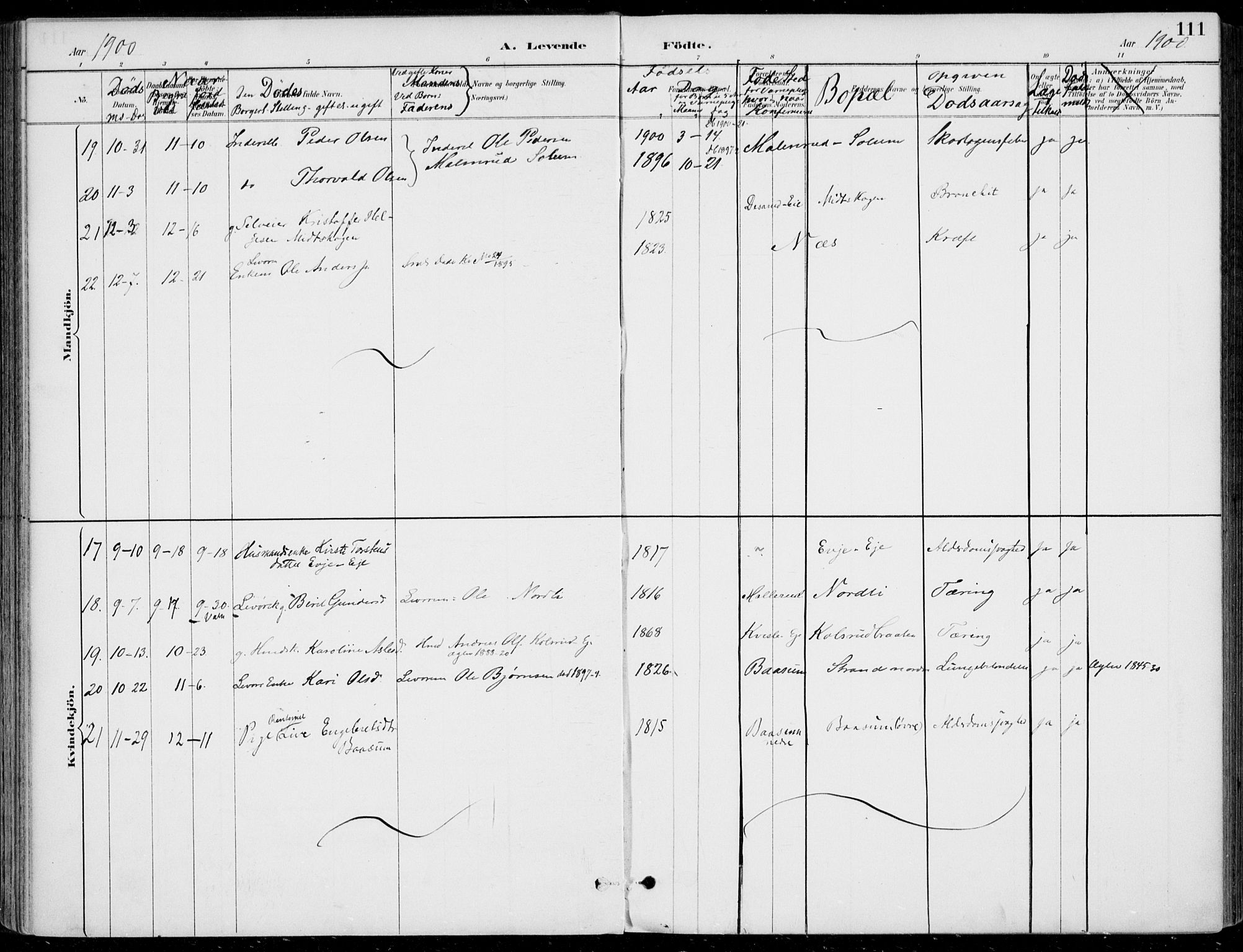 Sigdal kirkebøker, AV/SAKO-A-245/F/Fb/L0001: Parish register (official) no. II 1, 1888-1900, p. 111