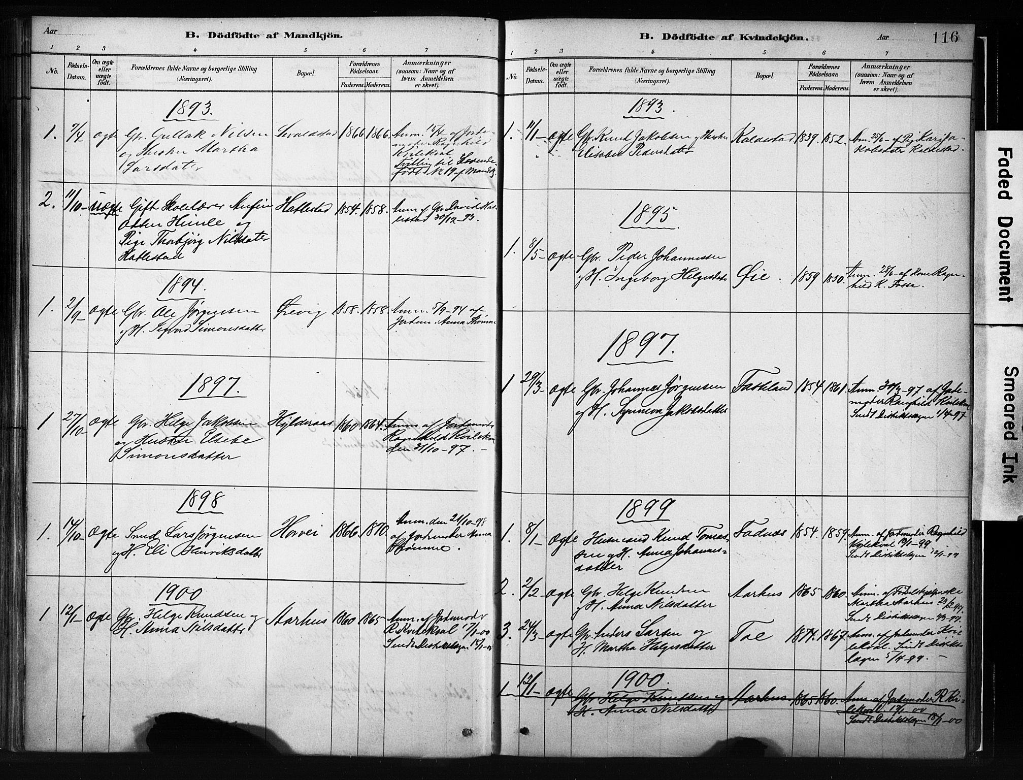Evanger sokneprestembete, SAB/A-99924: Parish register (official) no. A 1, 1877-1899, p. 116