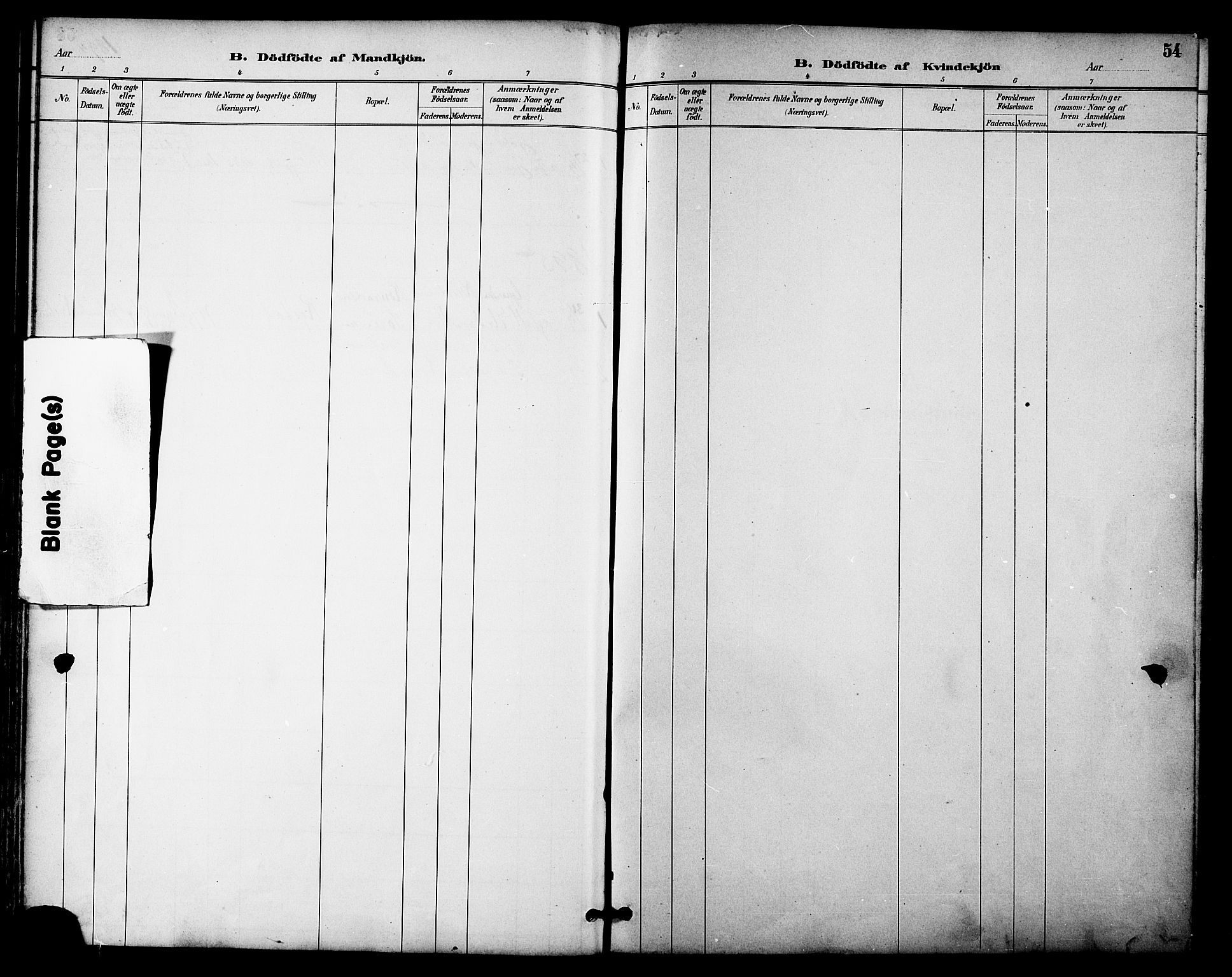 Ministerialprotokoller, klokkerbøker og fødselsregistre - Nordland, AV/SAT-A-1459/876/L1097: Parish register (official) no. 876A03, 1886-1896, p. 54