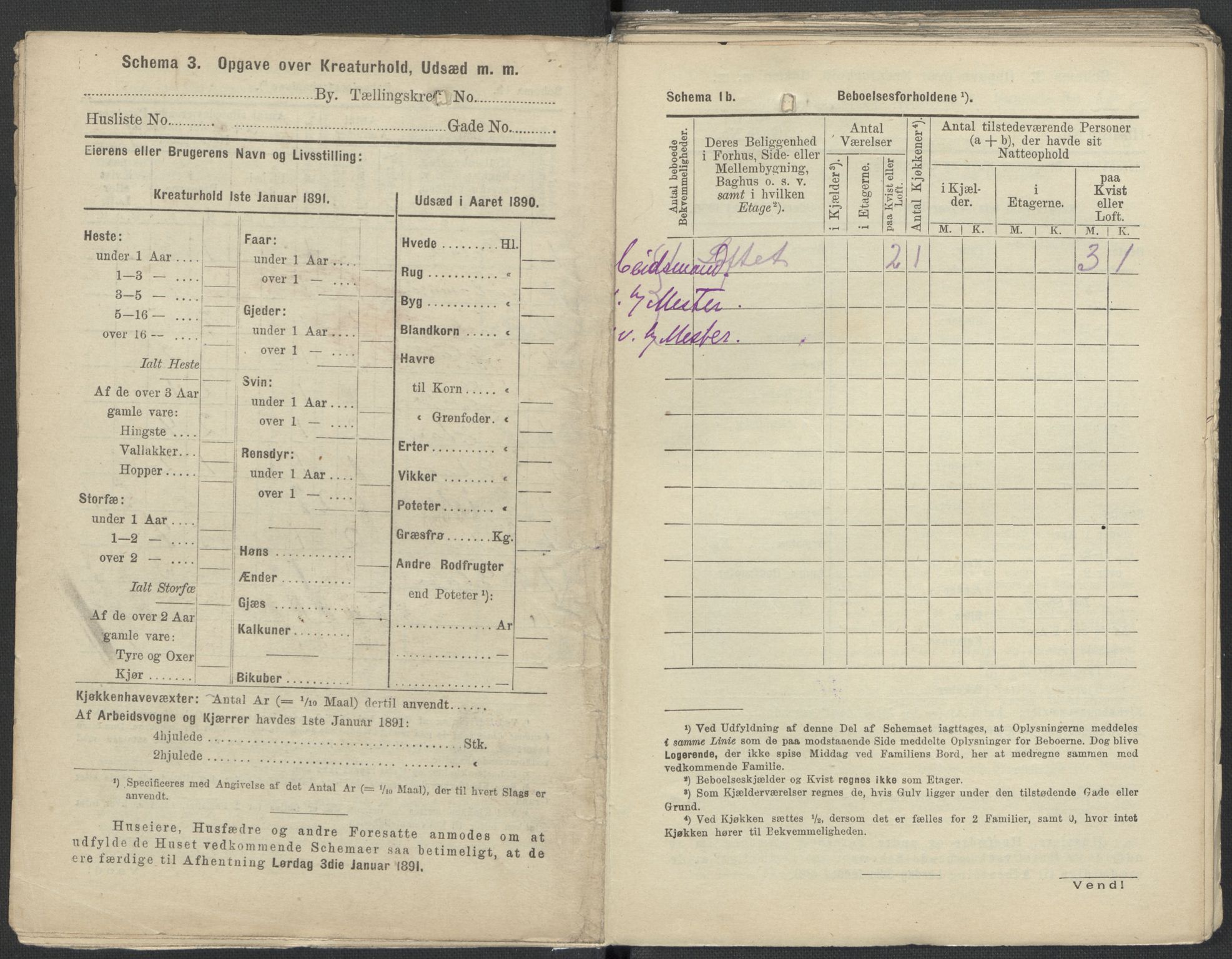 RA, 1891 Census for 1301 Bergen, 1891, p. 1601