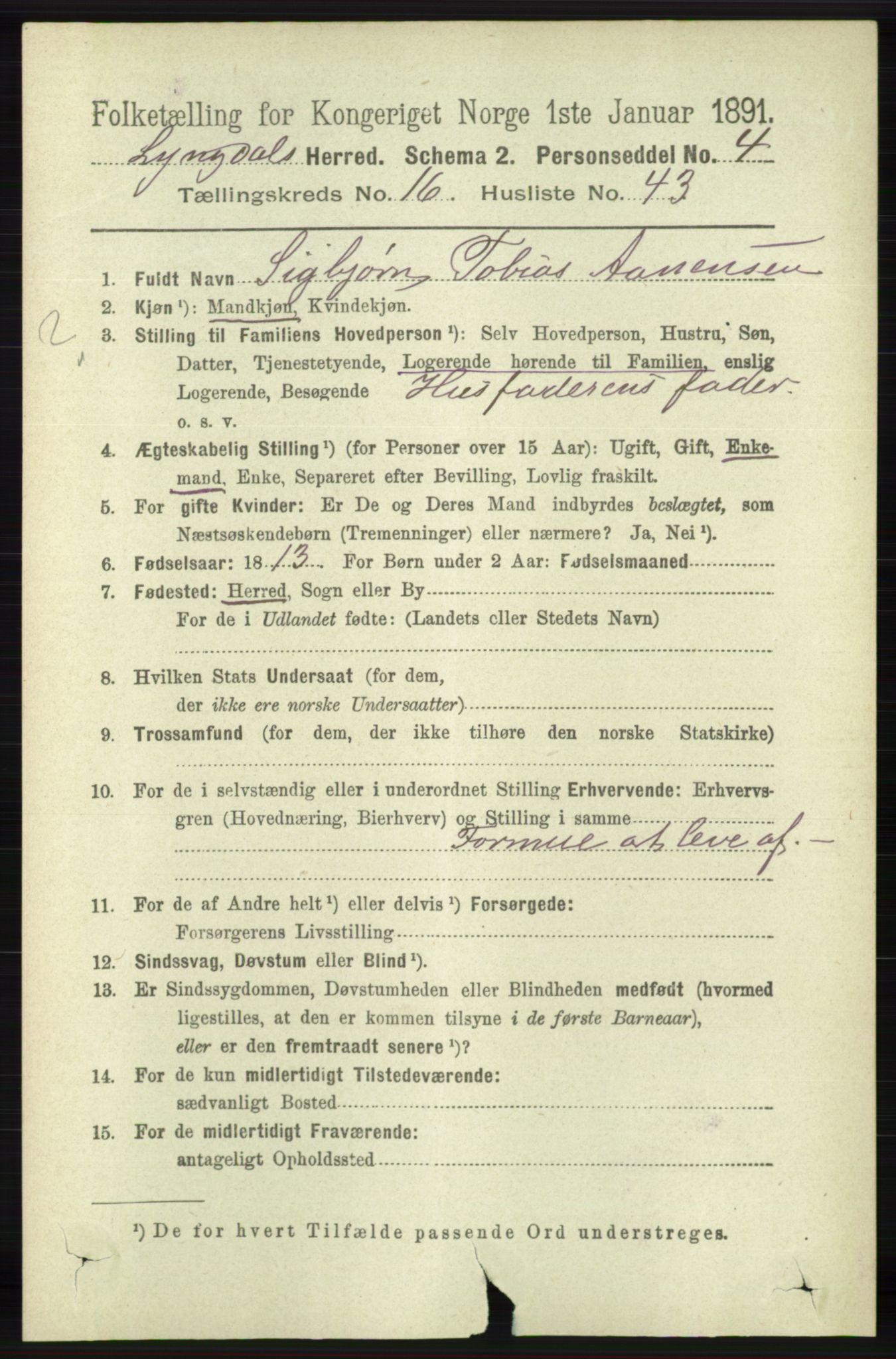 RA, 1891 census for 1032 Lyngdal, 1891, p. 6474