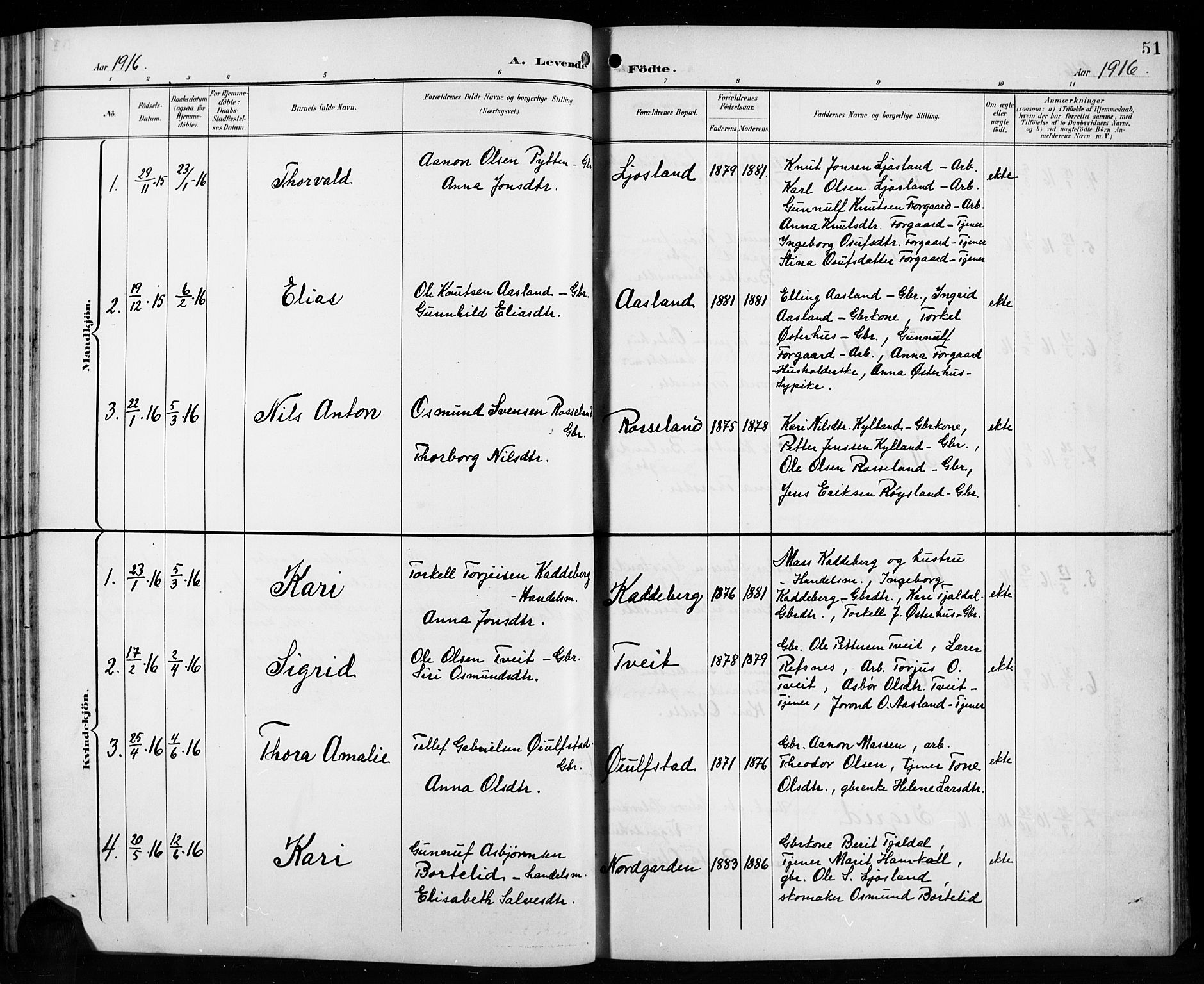 Åseral sokneprestkontor, SAK/1111-0051/F/Fb/L0003: Parish register (copy) no. B 3, 1900-1919, p. 51