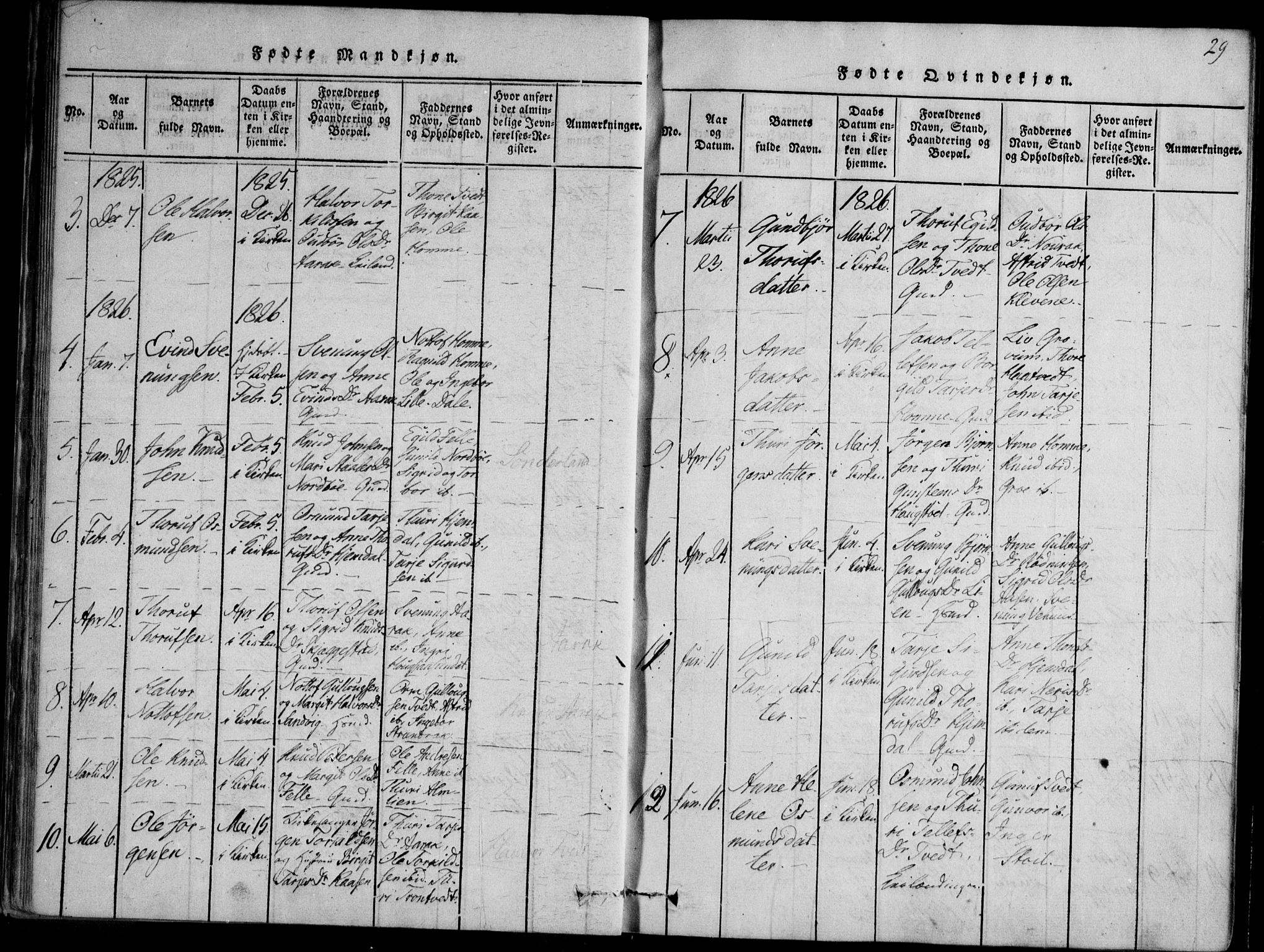 Nissedal kirkebøker, SAKO/A-288/F/Fb/L0001: Parish register (official) no. II 1, 1814-1845, p. 29