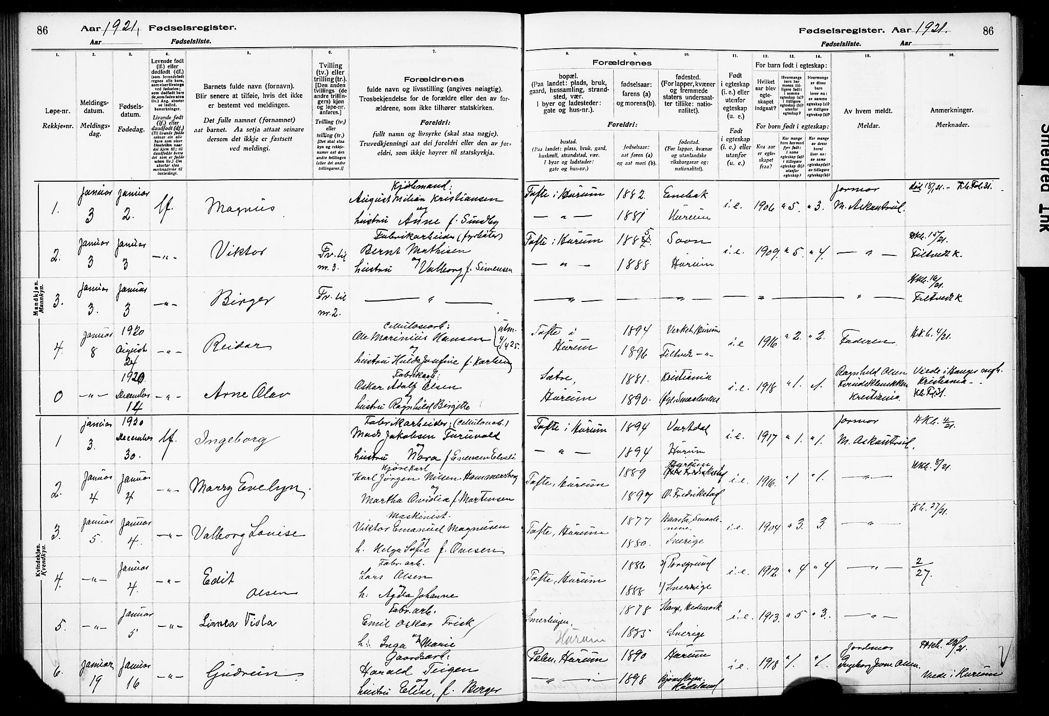 Hurum kirkebøker, SAKO/A-229/J/Ja/L0001: Birth register no. 1, 1916-1928, p. 86