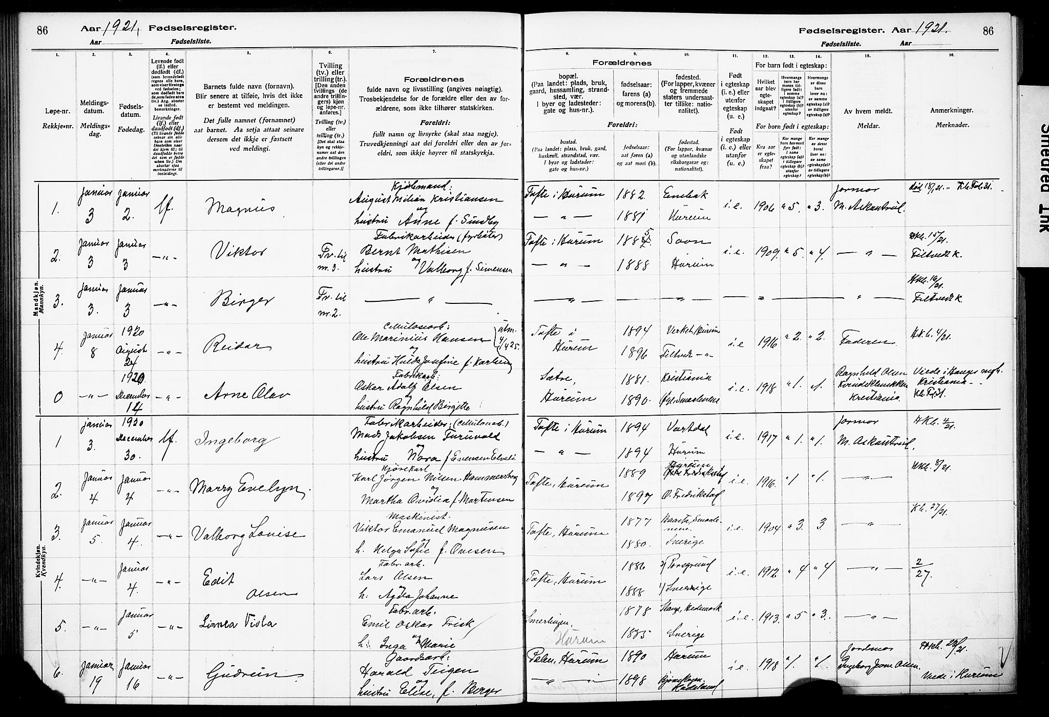 Hurum kirkebøker, AV/SAKO-A-229/J/Ja/L0001: Birth register no. 1, 1916-1928, p. 86