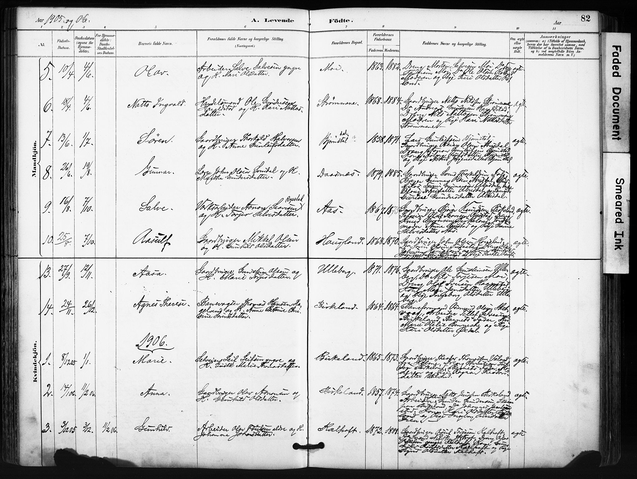 Evje sokneprestkontor, AV/SAK-1111-0008/F/Fa/Fab/L0003: Parish register (official) no. A 3, 1884-1909, p. 82