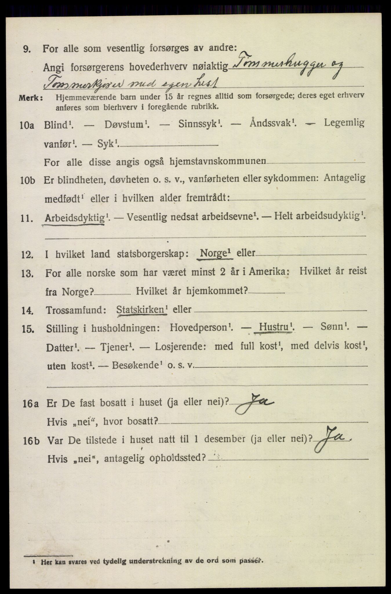 SAH, 1920 census for Trysil, 1920, p. 15236