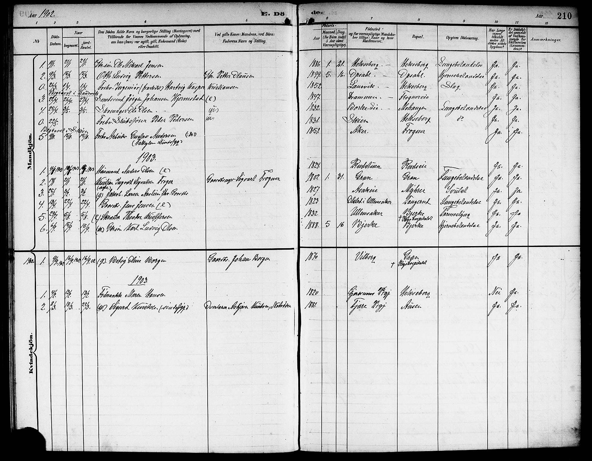 Sørum prestekontor Kirkebøker, AV/SAO-A-10303/G/Ga/L0006: Parish register (copy) no. I 6, 1894-1906, p. 210