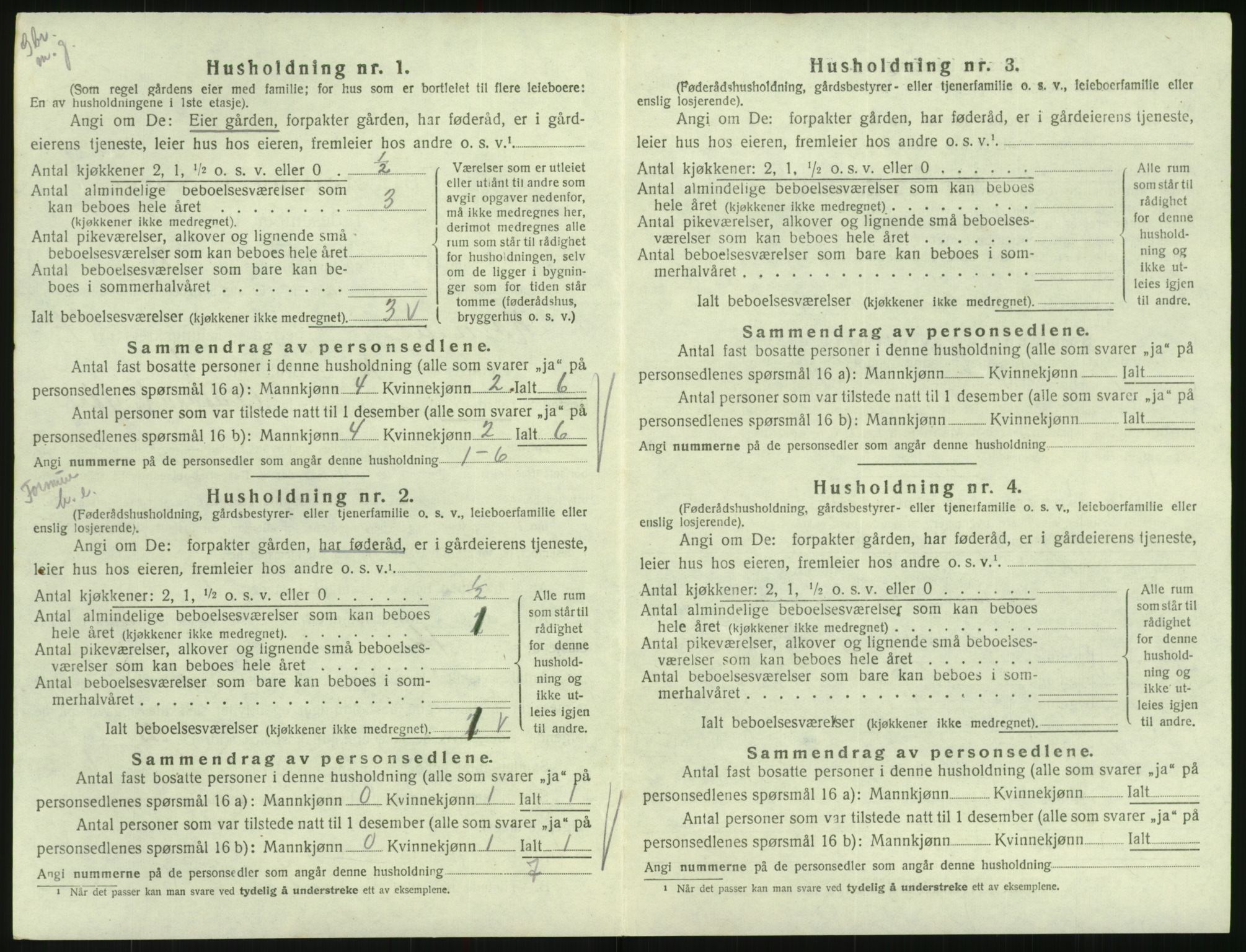 SAK, 1920 census for Hornnes, 1920, p. 266