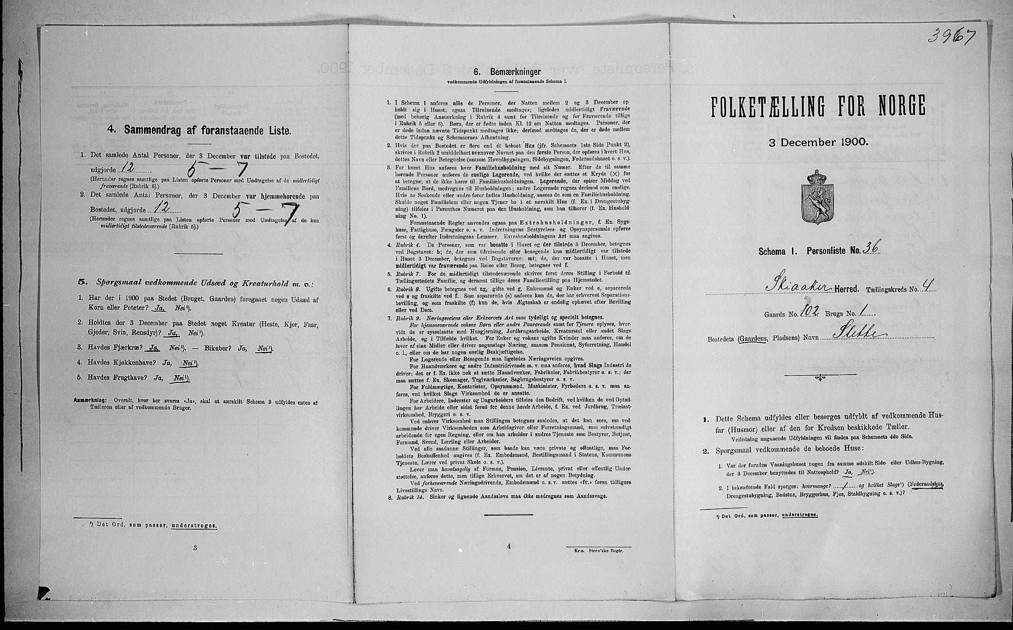 SAH, 1900 census for Skjåk, 1900, p. 399