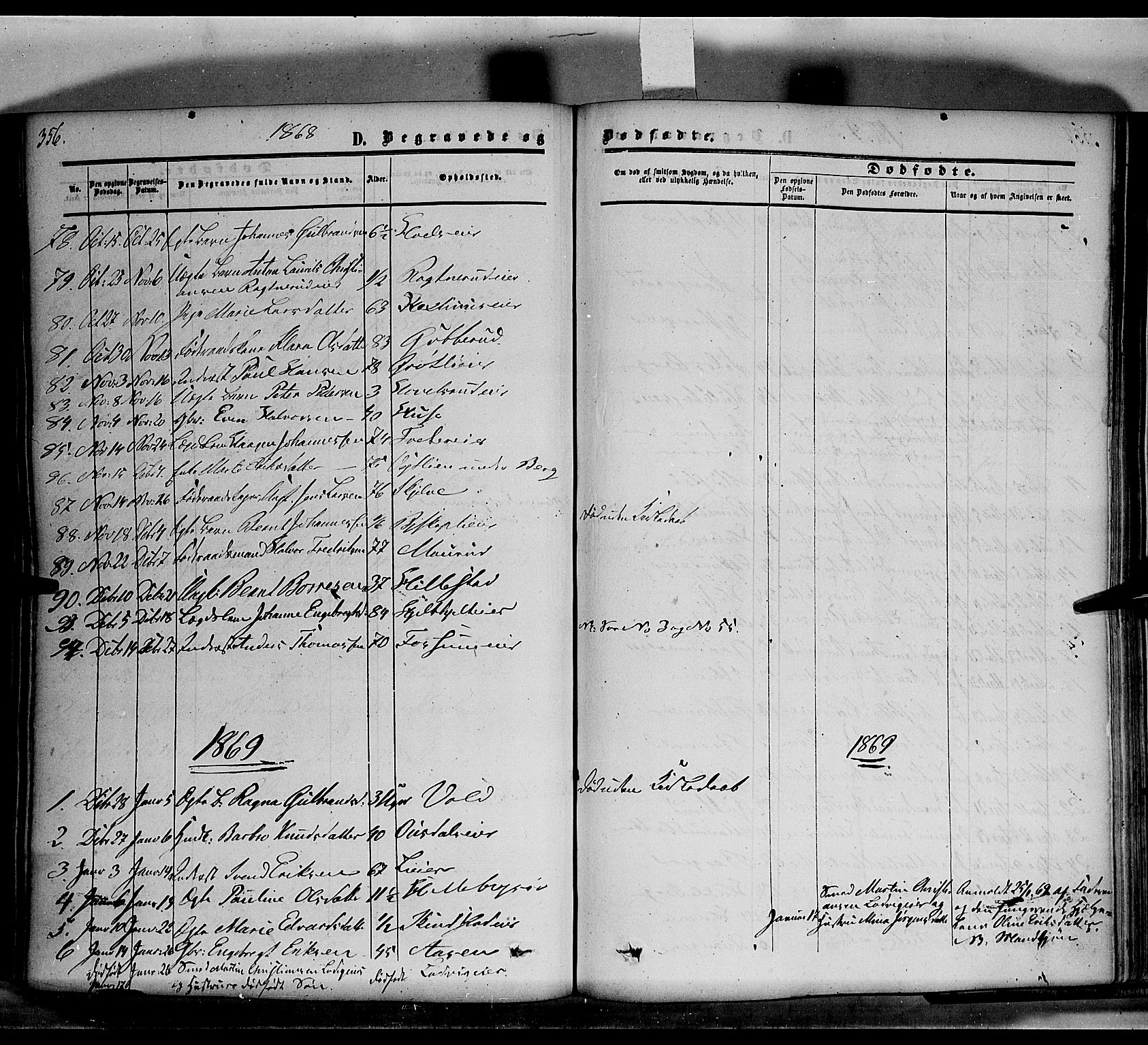 Nes prestekontor, Hedmark, SAH/PREST-020/K/Ka/L0004: Parish register (official) no. 4, 1852-1886, p. 356