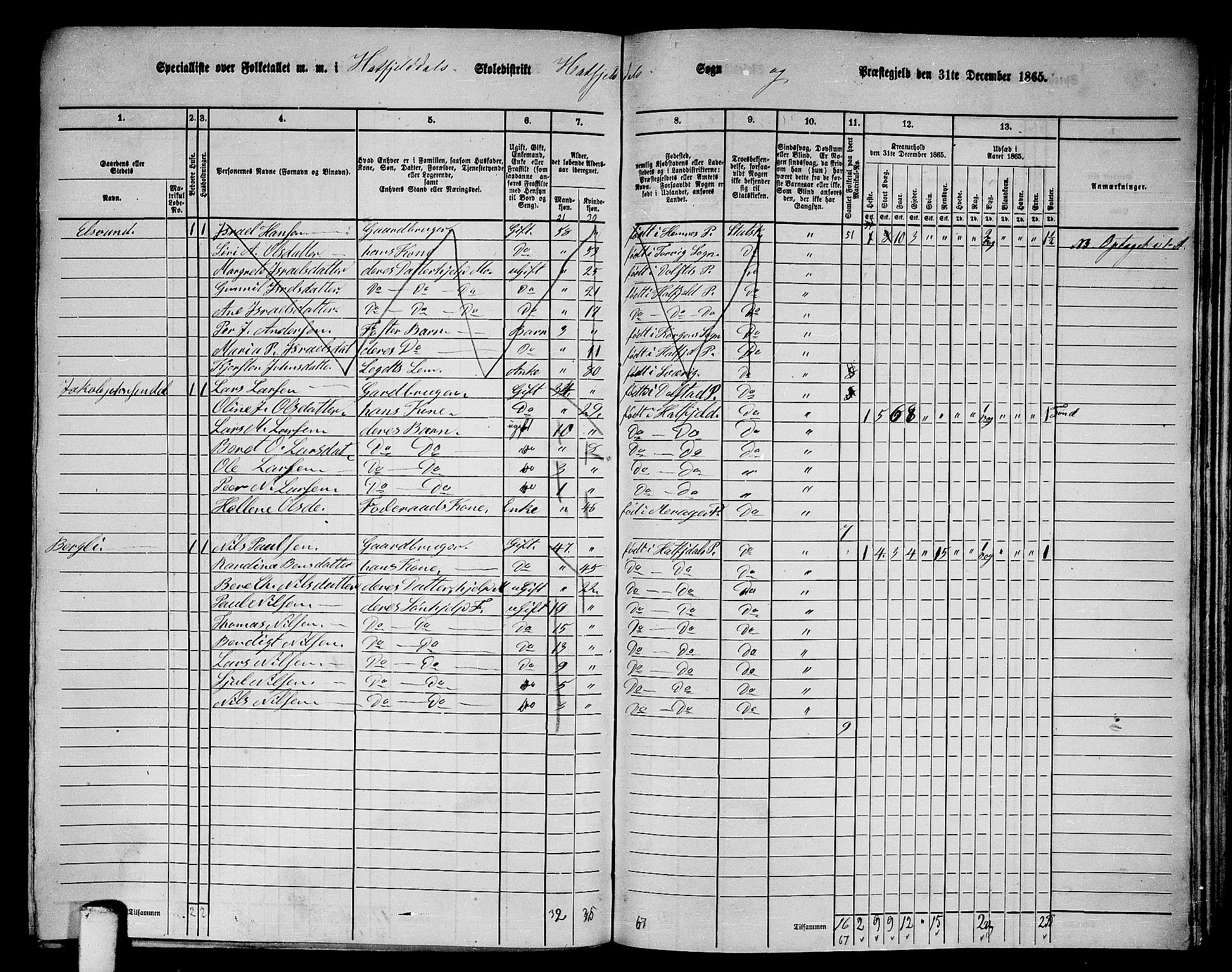 RA, 1865 census for Hattfjelldal, 1865, p. 16