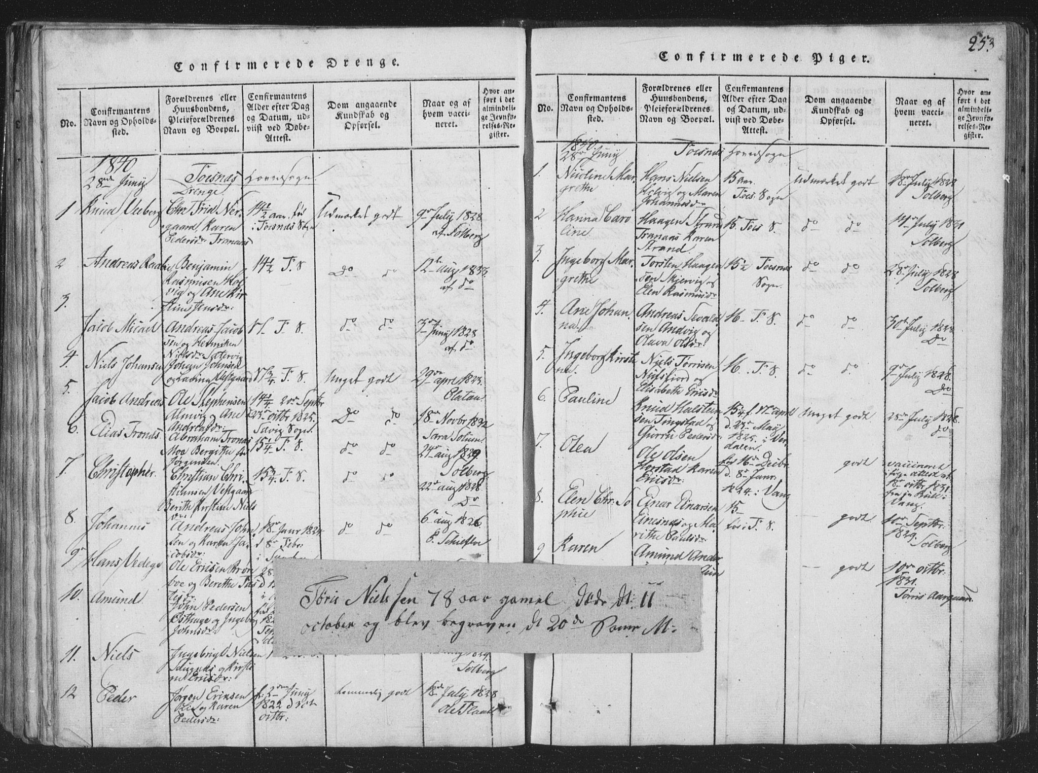 Ministerialprotokoller, klokkerbøker og fødselsregistre - Nord-Trøndelag, SAT/A-1458/773/L0613: Parish register (official) no. 773A04, 1815-1845, p. 253