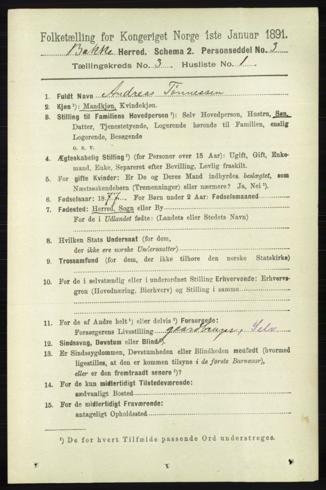 RA, 1891 census for 1045 Bakke, 1891, p. 414