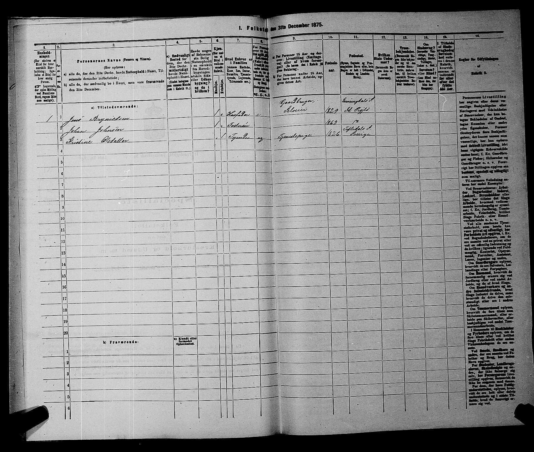 RA, 1875 census for 0117P Idd, 1875, p. 1104