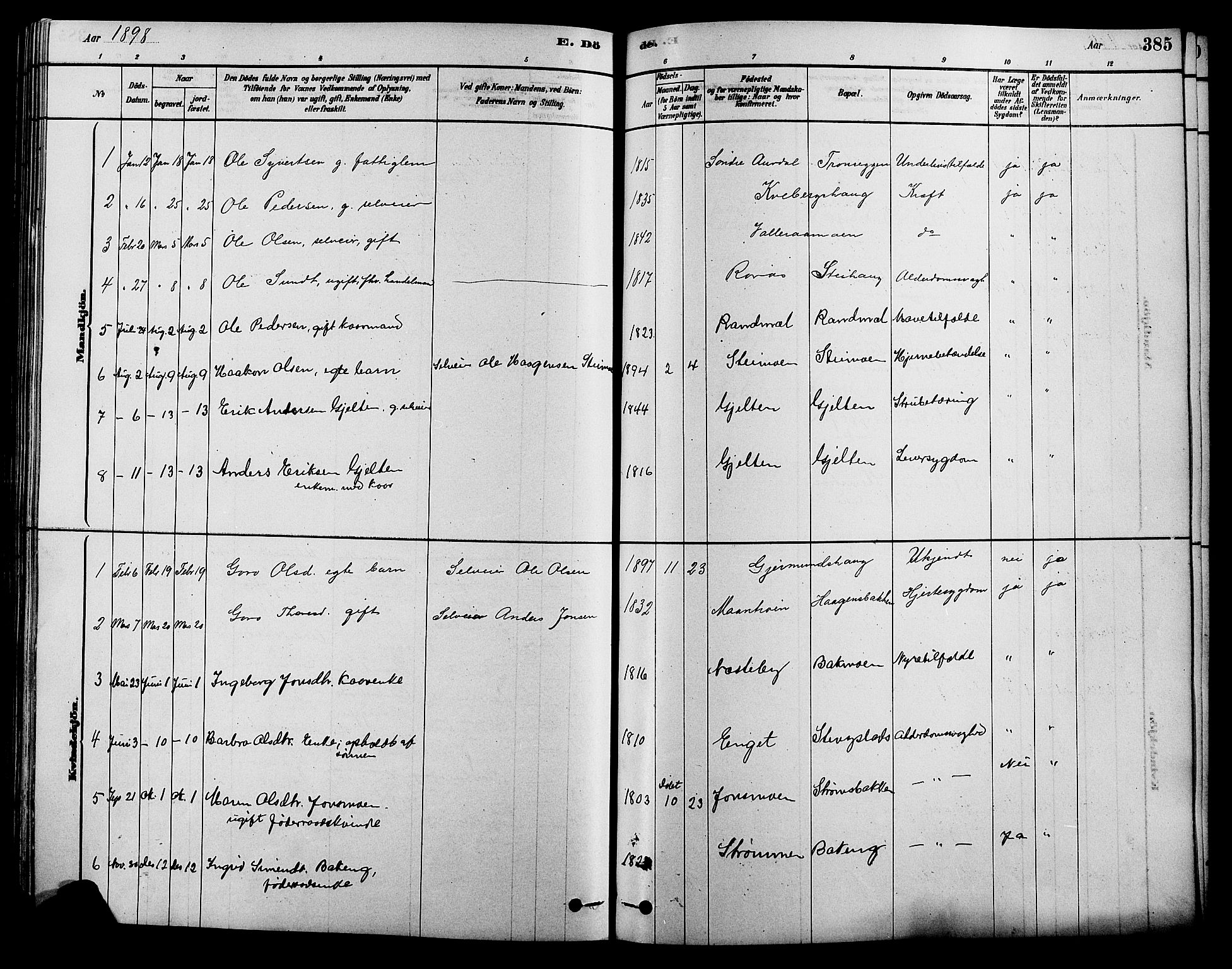 Alvdal prestekontor, SAH/PREST-060/H/Ha/Hab/L0003: Parish register (copy) no. 3, 1878-1907, p. 385
