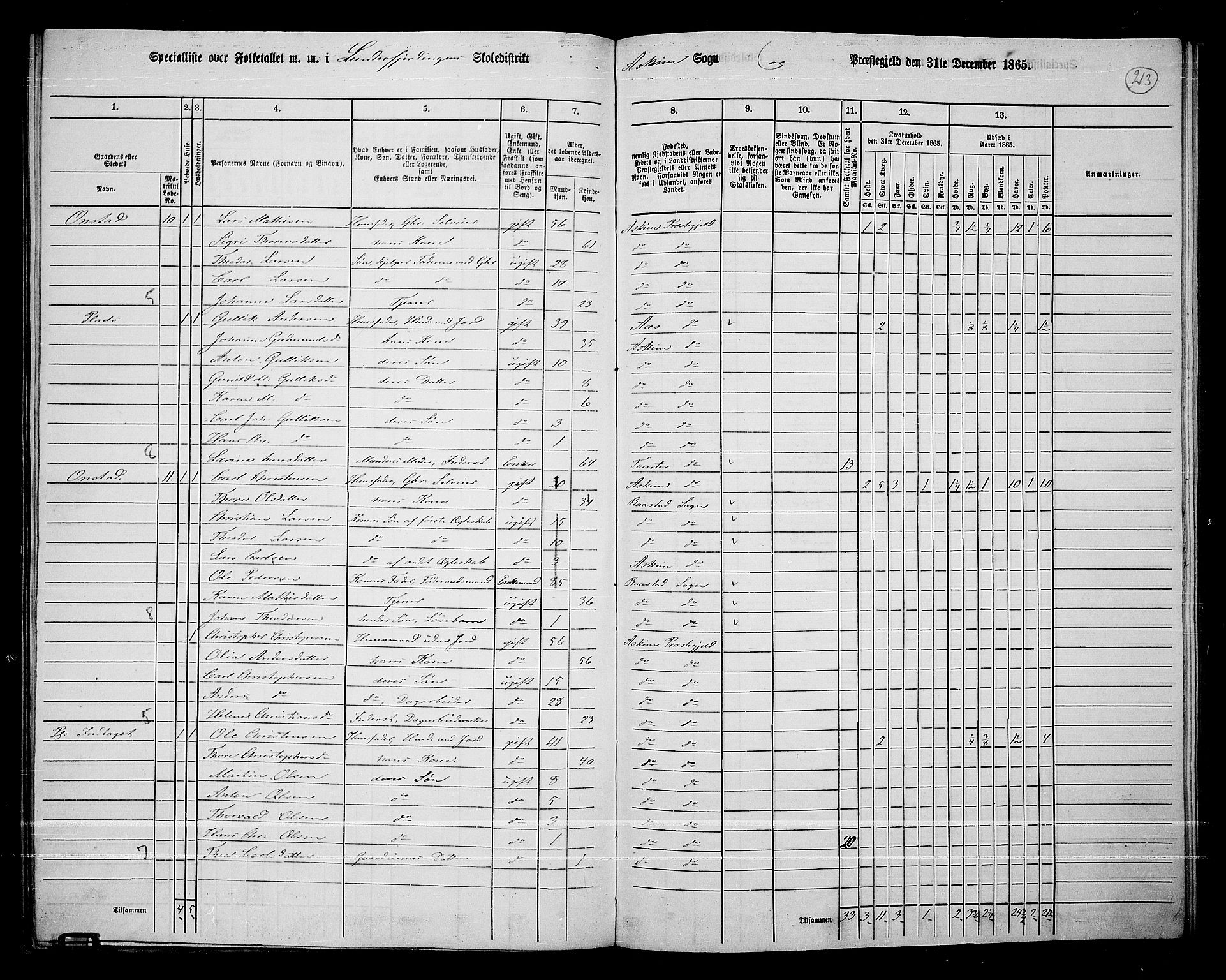 RA, 1865 census for Askim, 1865, p. 70