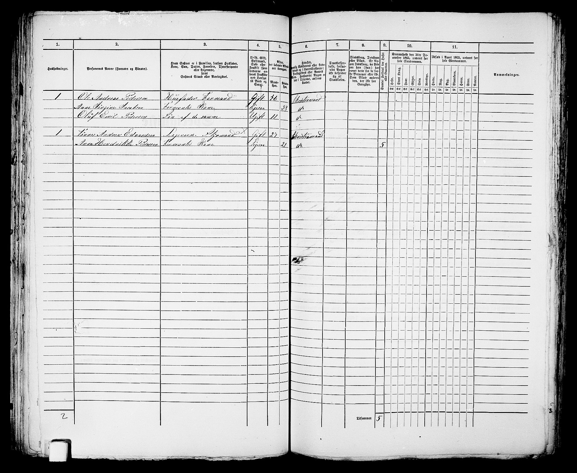 RA, 1865 census for Kristiansand, 1865, p. 171