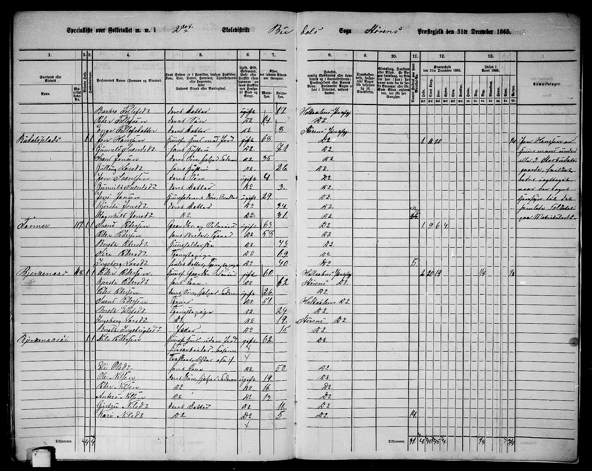 RA, 1865 census for Støren, 1865, p. 314