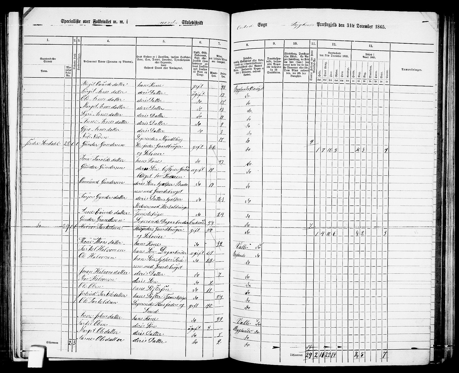 RA, 1865 census for Bygland, 1865, p. 14