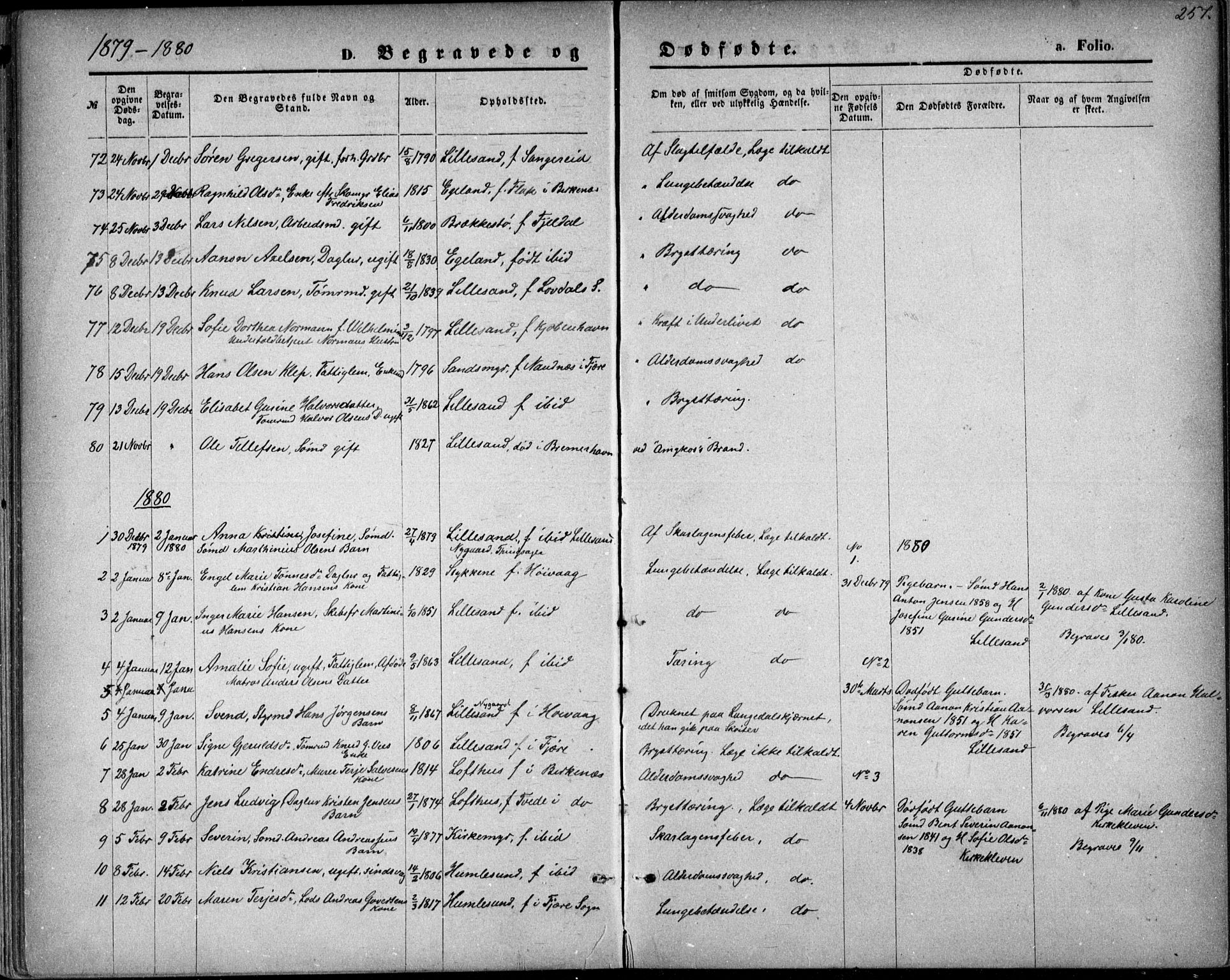 Vestre Moland sokneprestkontor, AV/SAK-1111-0046/F/Fb/Fbb/L0005: Parish register (copy) no. B 5, 1872-1883, p. 257