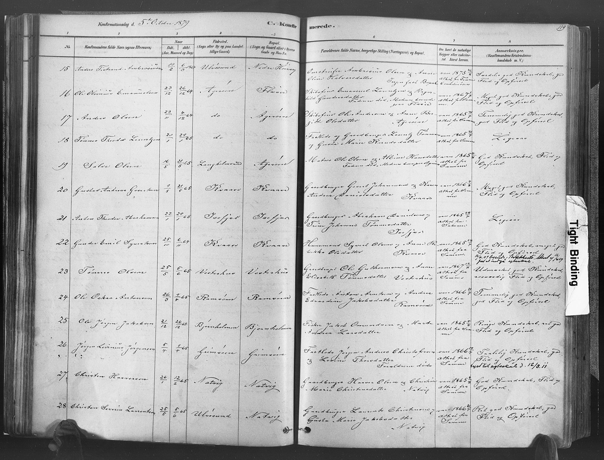 Høvåg sokneprestkontor, AV/SAK-1111-0025/F/Fa/L0005: Parish register (official) no. A 5, 1878-1893, p. 119