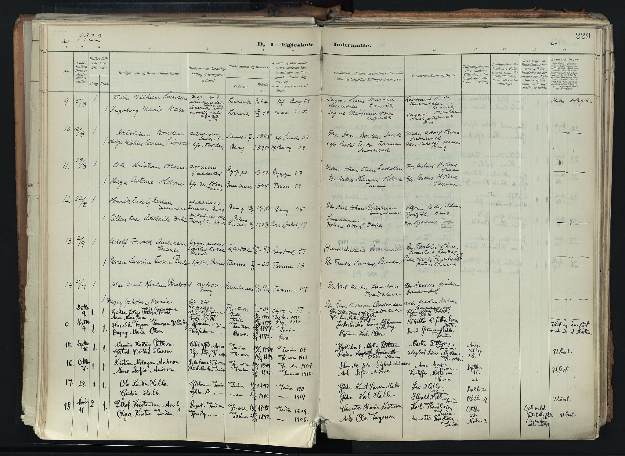 Brunlanes kirkebøker, AV/SAKO-A-342/F/Fc/L0003: Parish register (official) no. III 3, 1900-1922, p. 229