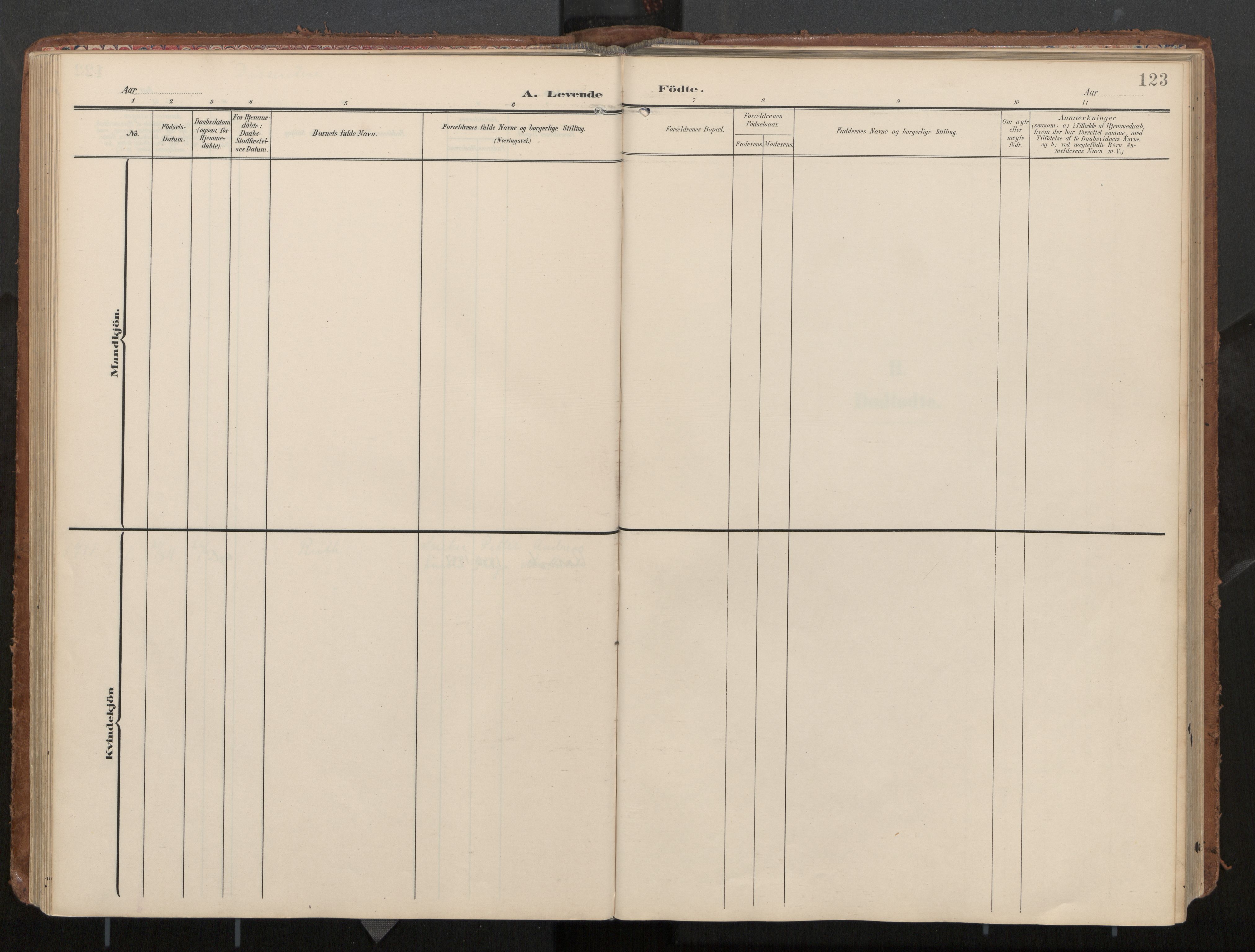 Ministerialprotokoller, klokkerbøker og fødselsregistre - Nord-Trøndelag, SAT/A-1458/774/L0629: Parish register (official), 1904-1926, p. 123