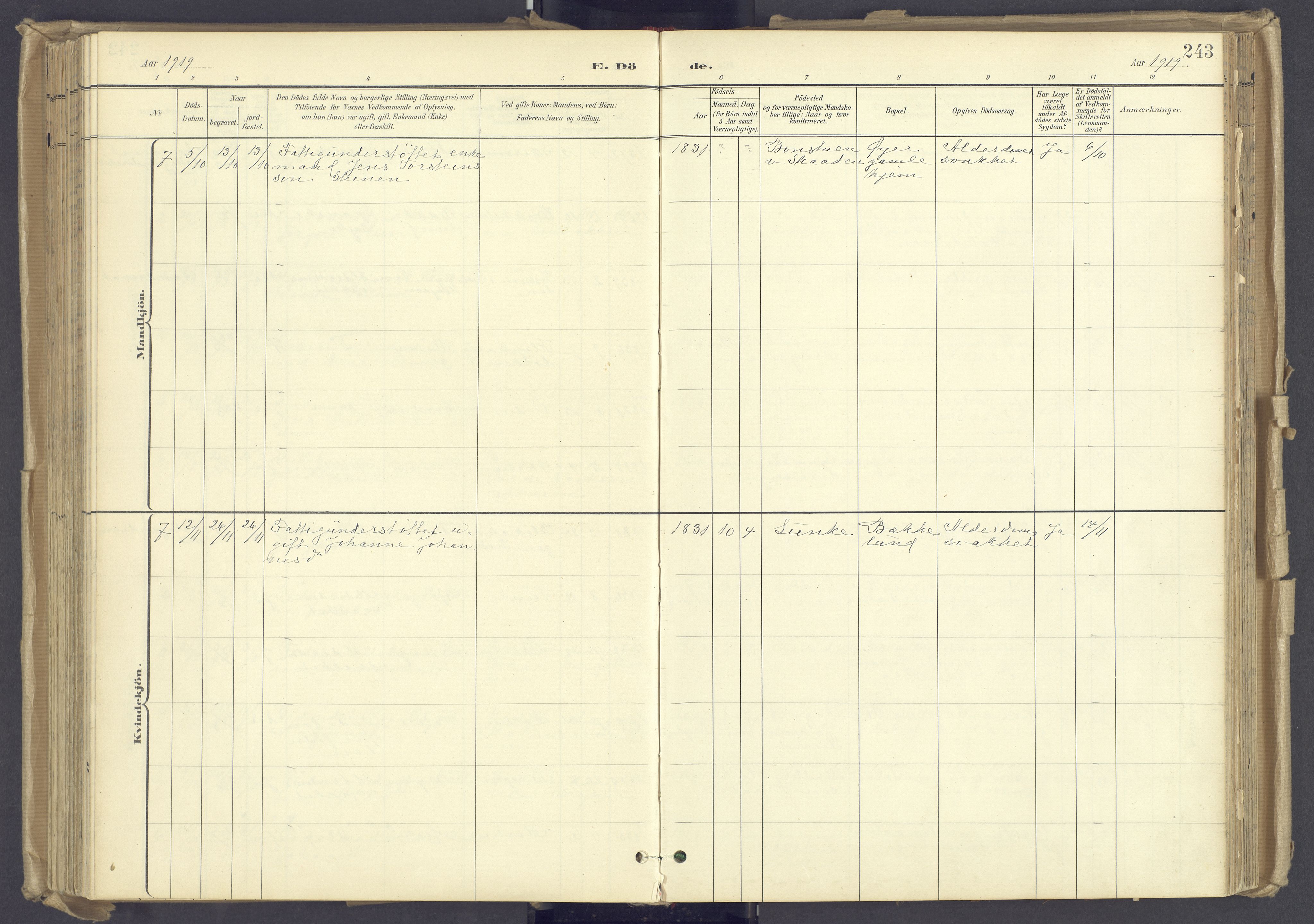 Øyer prestekontor, AV/SAH-PREST-084/H/Ha/Haa/L0012: Parish register (official) no. 12, 1897-1920, p. 243