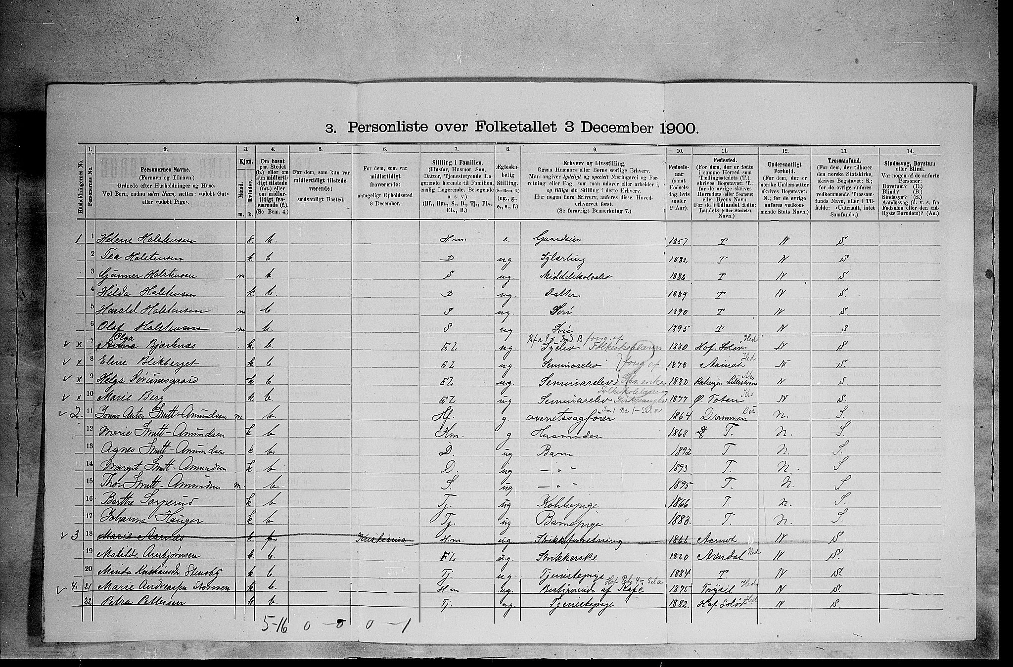 SAH, 1900 census for Elverum, 1900, p. 850