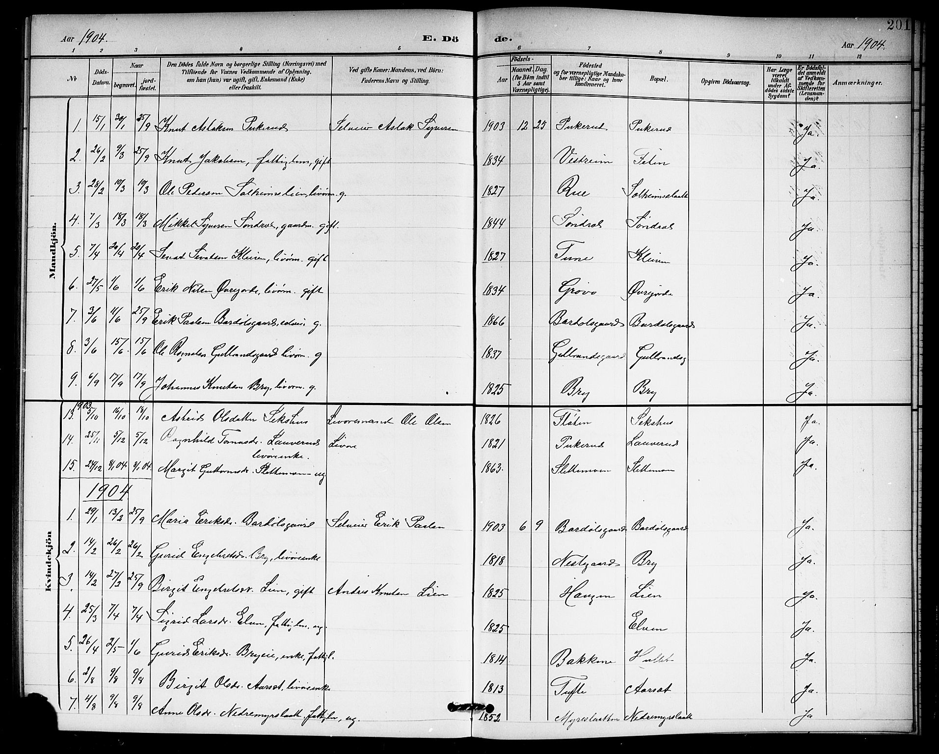 Hol kirkebøker, AV/SAKO-A-227/G/Ga/L0001: Parish register (copy) no. I 1, 1900-1919, p. 201