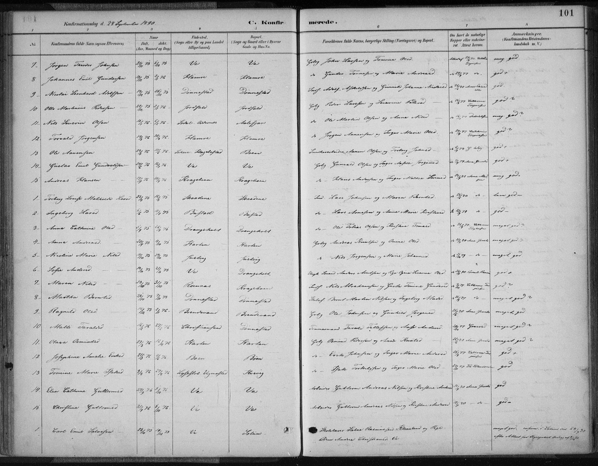 Tveit sokneprestkontor, AV/SAK-1111-0043/F/Fa/L0007: Parish register (official) no. A 7, 1887-1908, p. 101