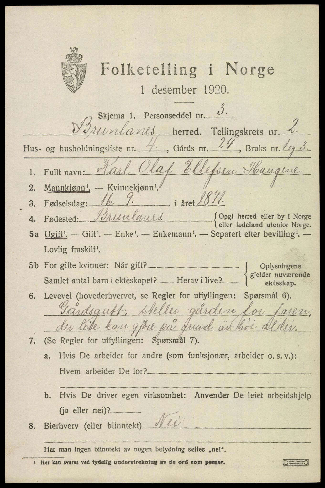 SAKO, 1920 census for Brunlanes, 1920, p. 3361