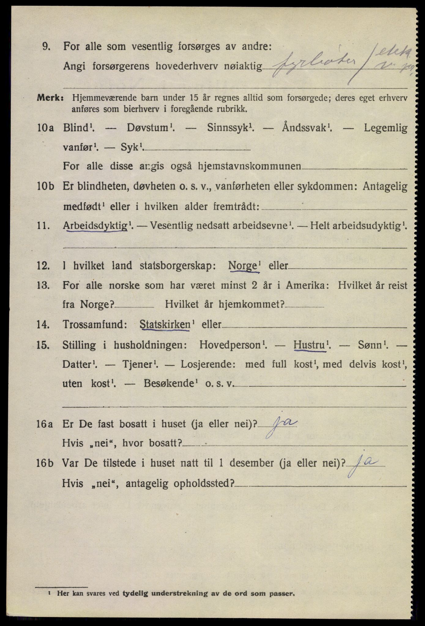 SAKO, 1920 census for Larvik, 1920, p. 13649