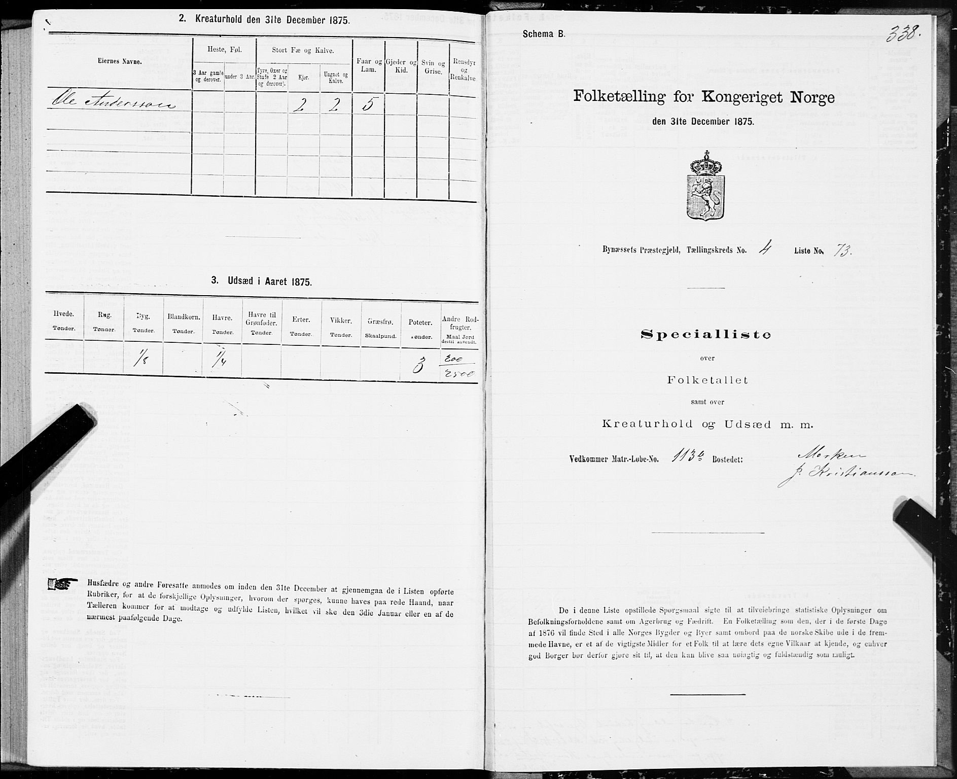 SAT, 1875 census for 1655P Byneset, 1875, p. 2338