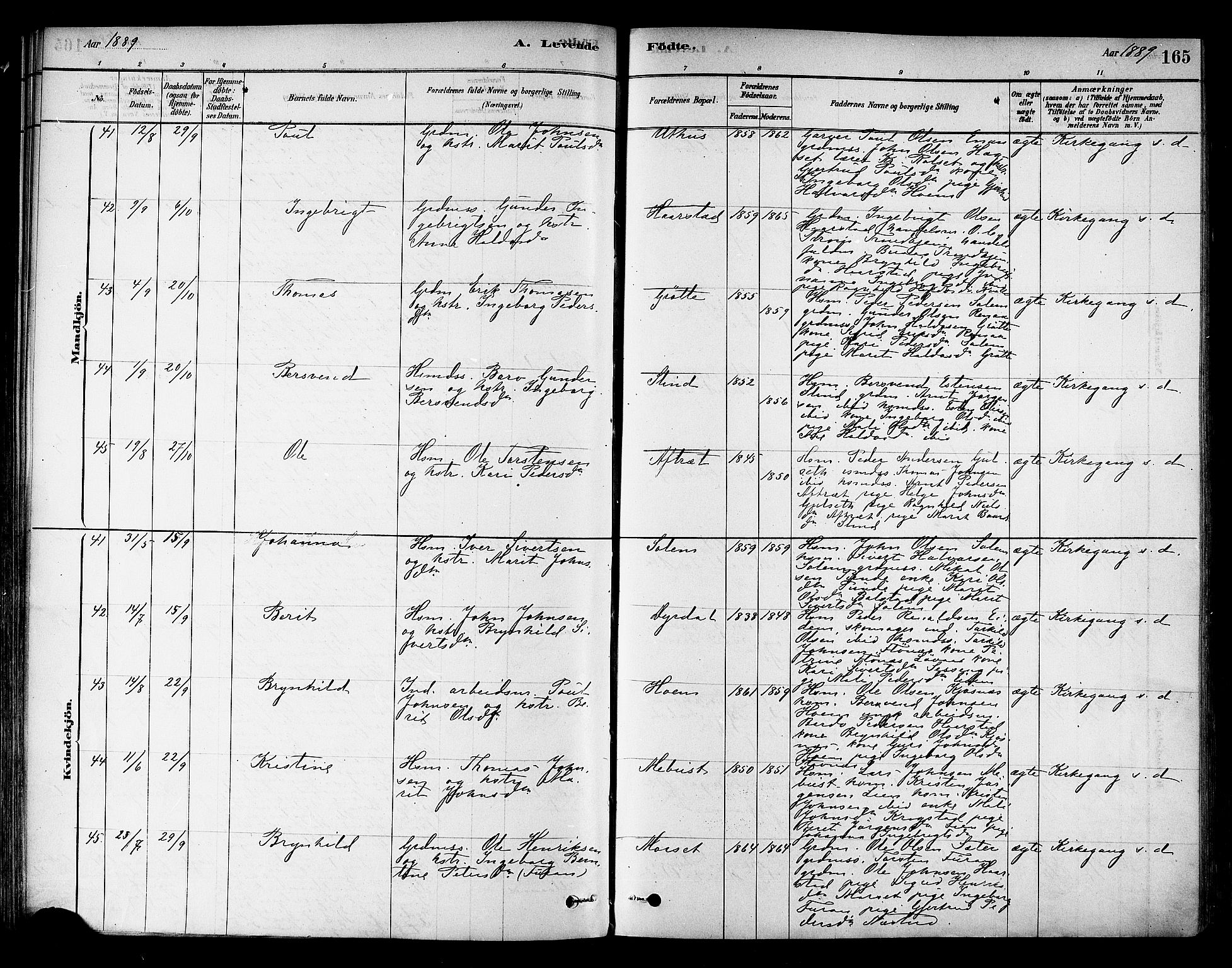 Ministerialprotokoller, klokkerbøker og fødselsregistre - Sør-Trøndelag, AV/SAT-A-1456/695/L1148: Parish register (official) no. 695A08, 1878-1891, p. 165