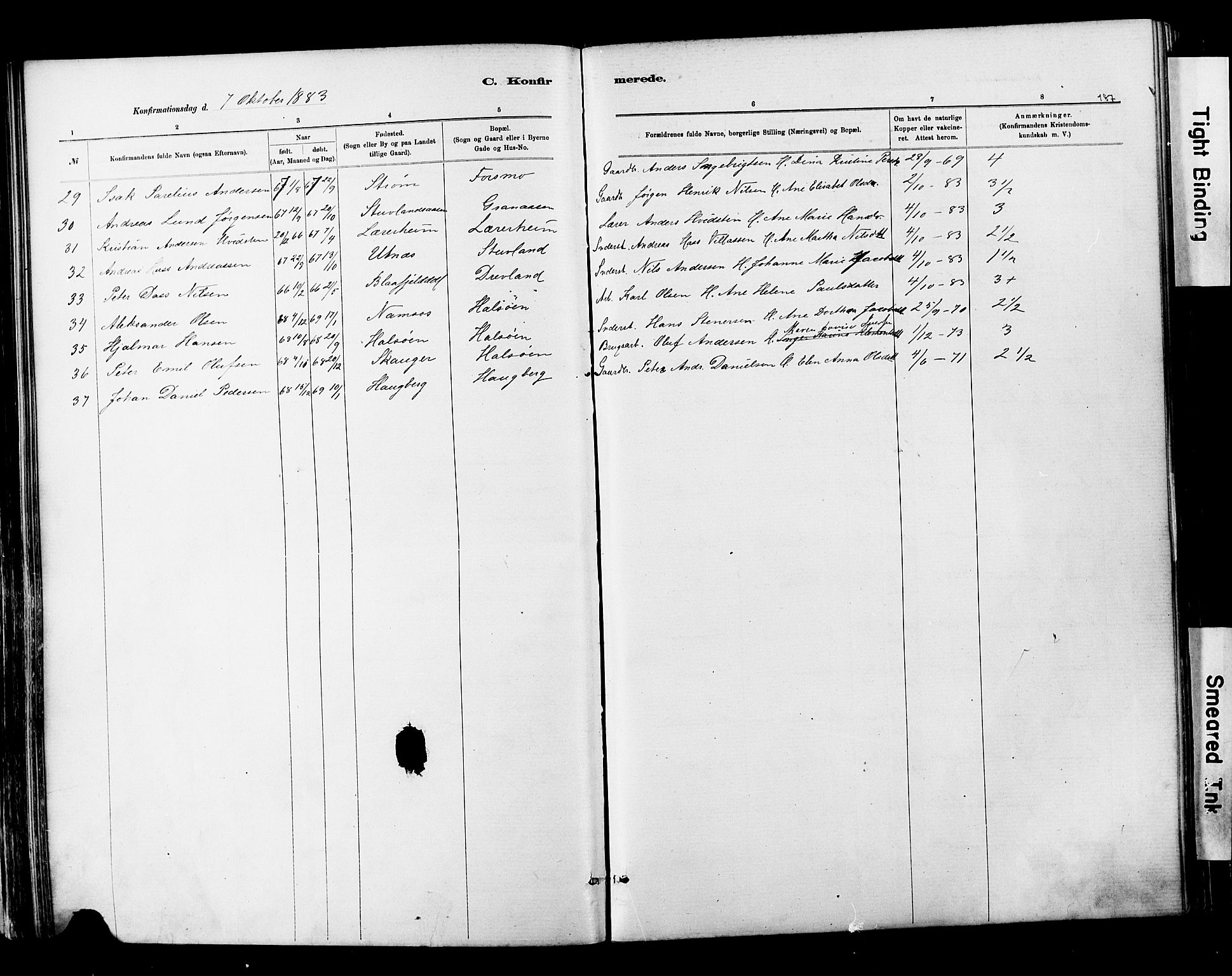 Ministerialprotokoller, klokkerbøker og fødselsregistre - Nordland, SAT/A-1459/820/L0295: Parish register (official) no. 820A16, 1880-1896, p. 187