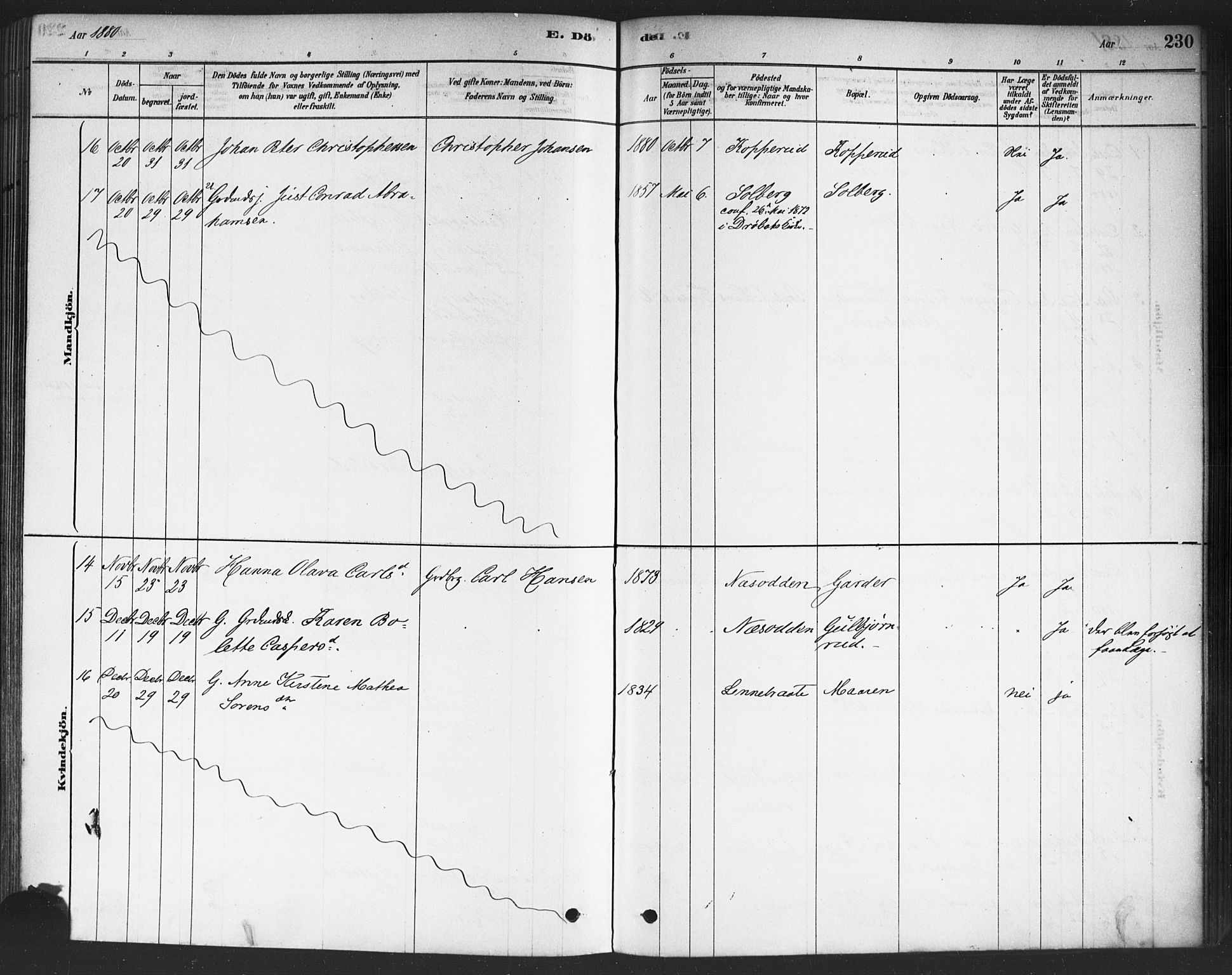 Drøbak prestekontor Kirkebøker, SAO/A-10142a/F/Fc/L0002: Parish register (official) no. III 2, 1878-1891, p. 230